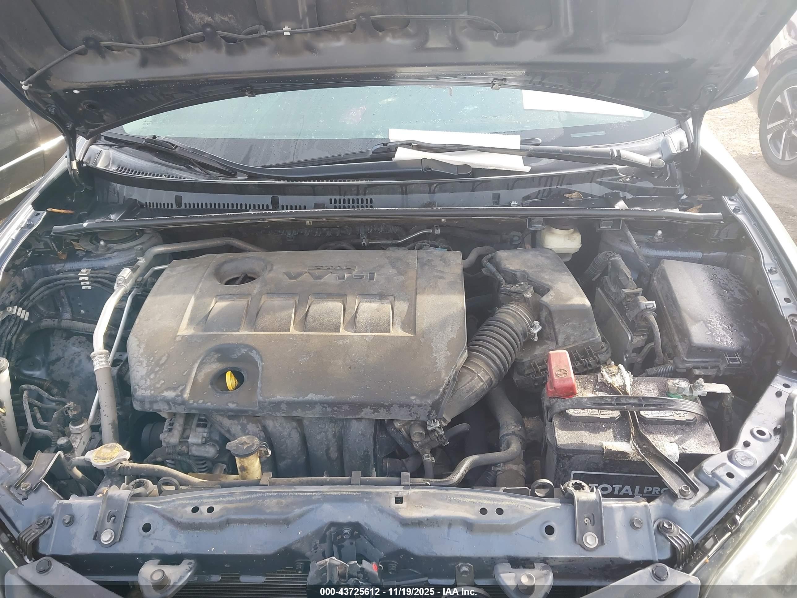 TOYOTA COROLLA image 10