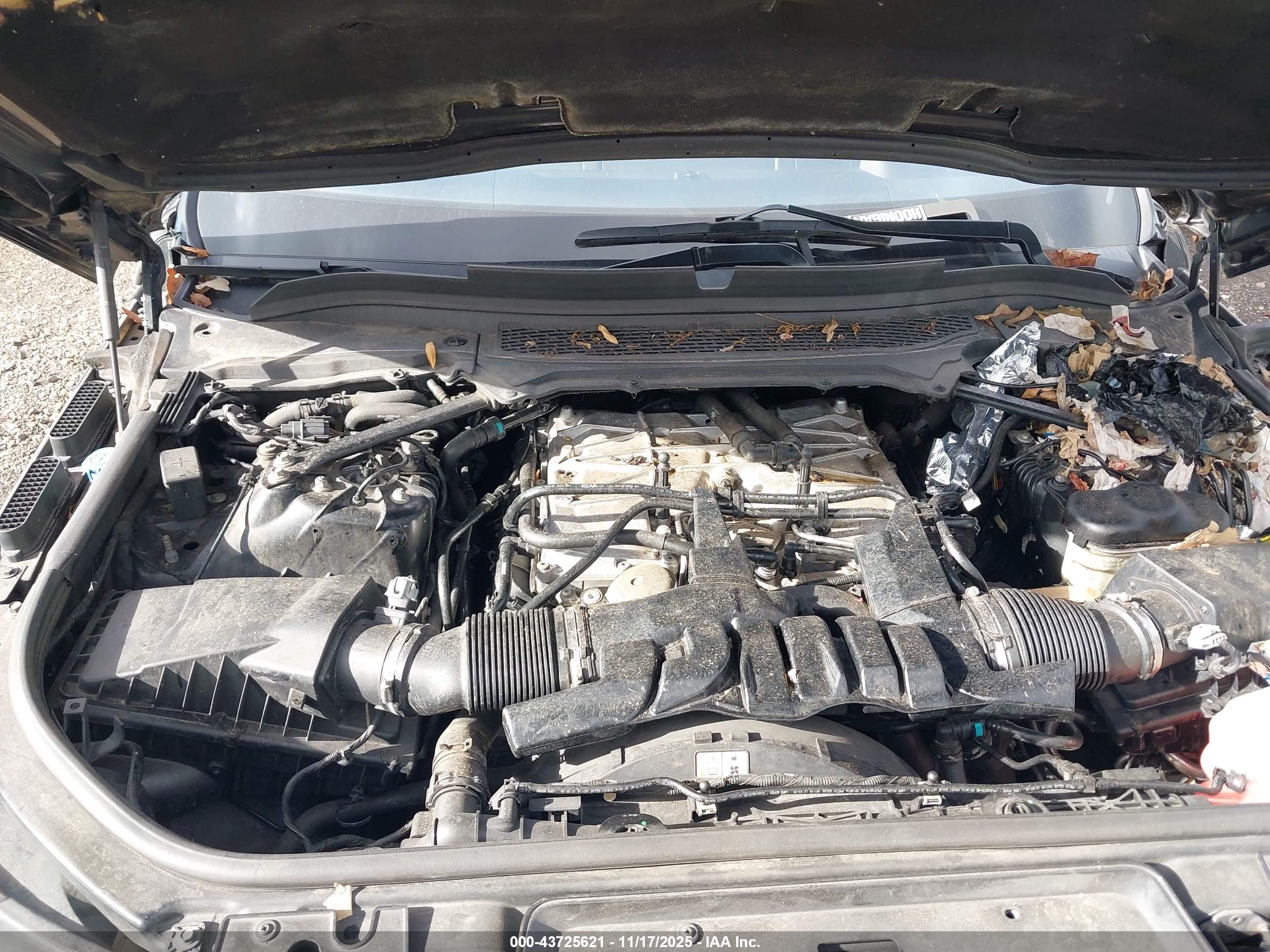 LAND ROVER image 10