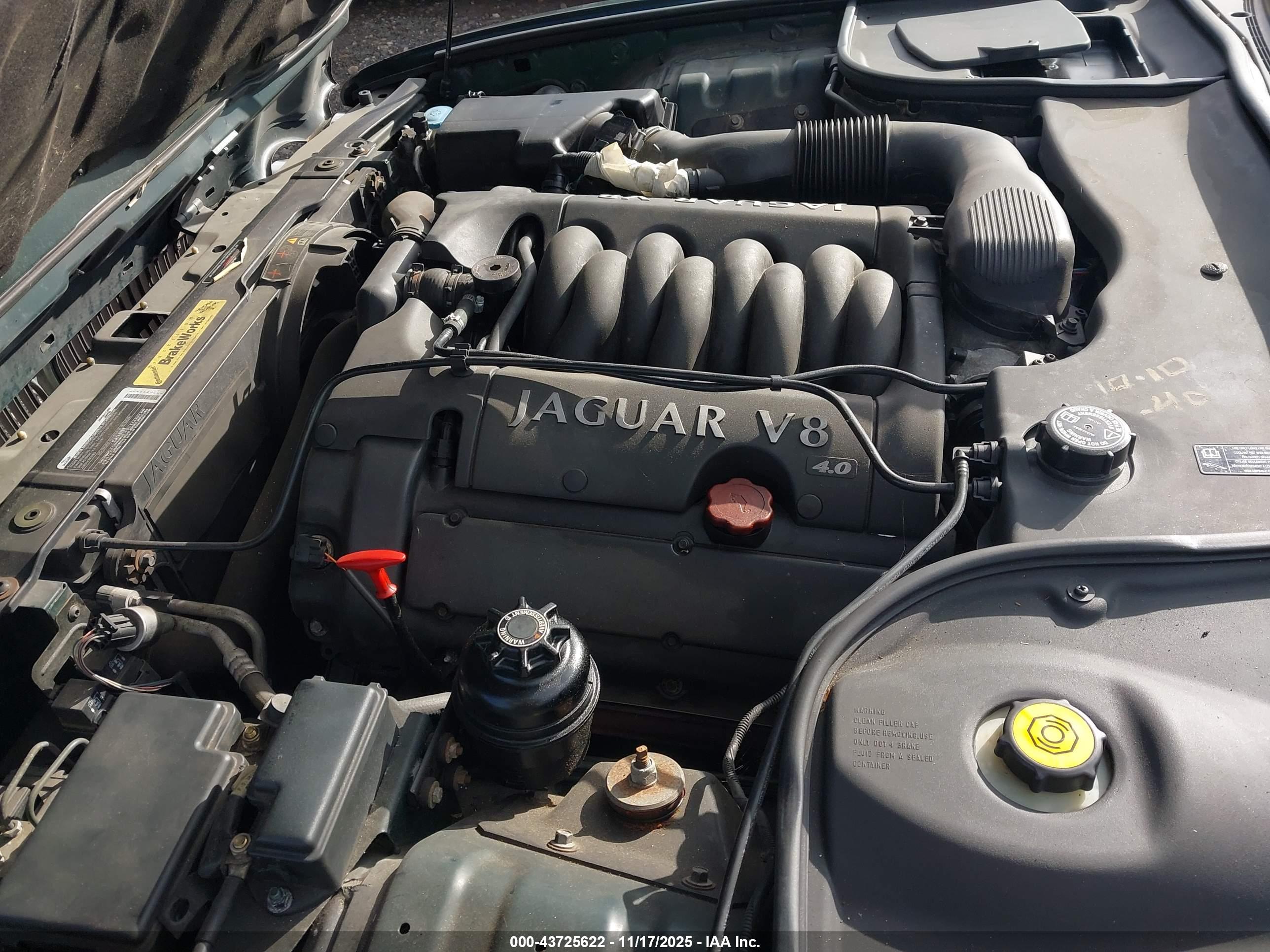 JAGUAR XJ8 image 10