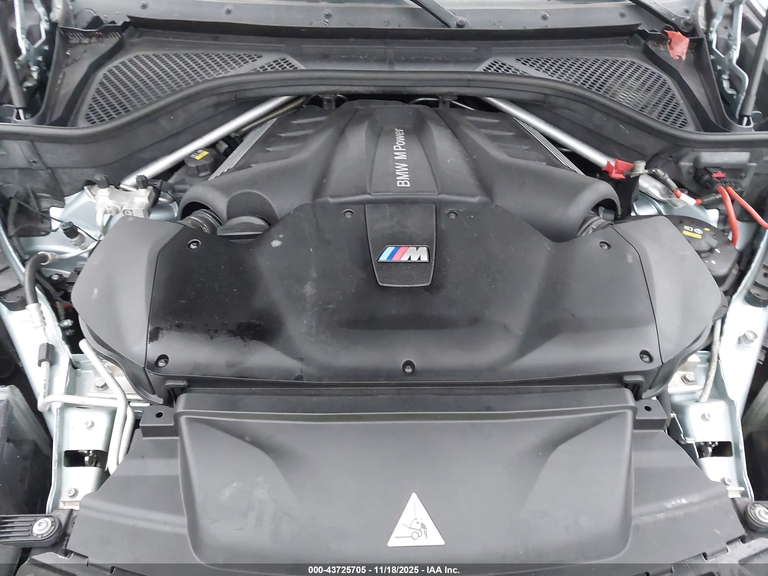 BMW X6 image 10