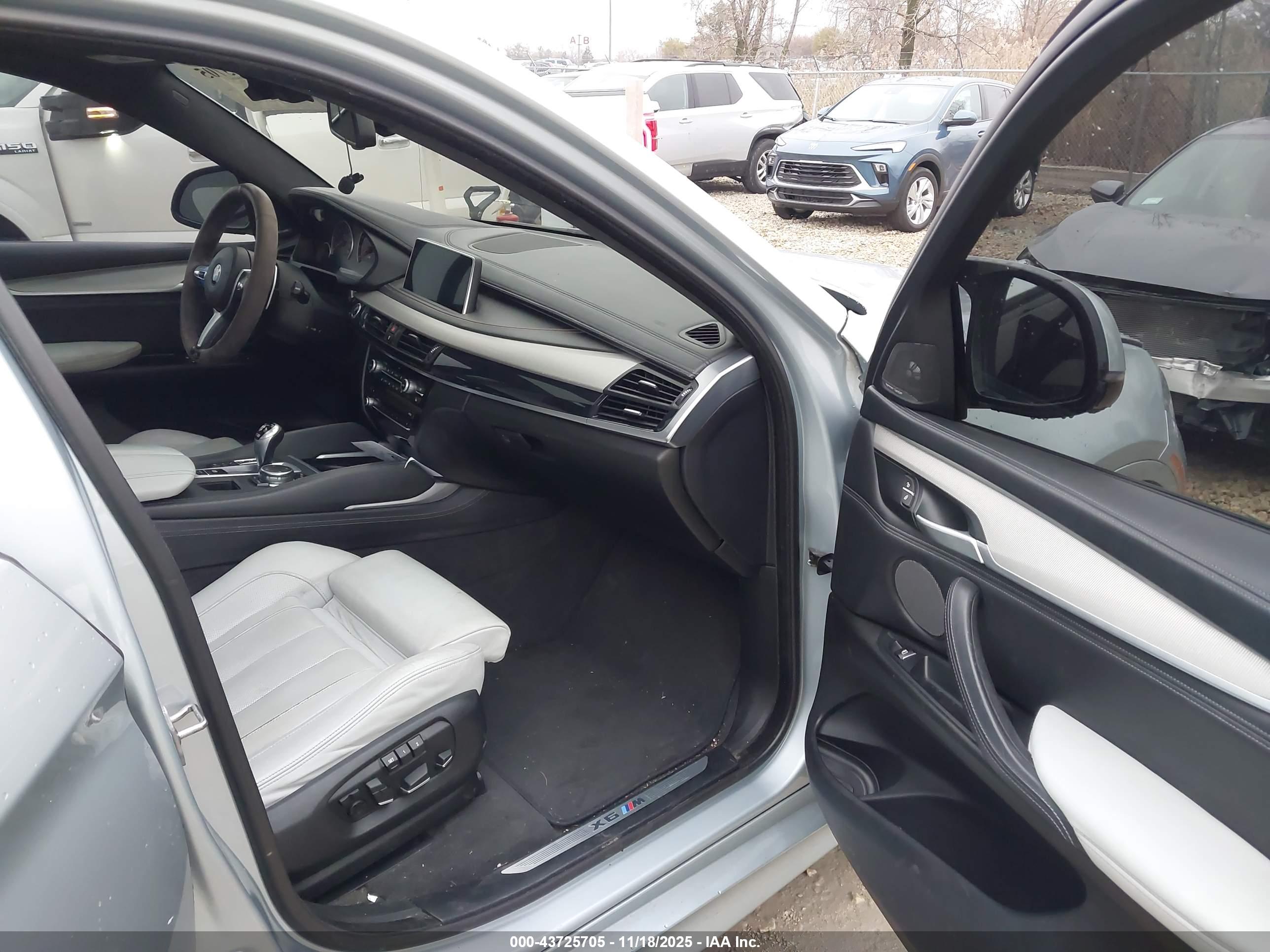 BMW X6 image 5