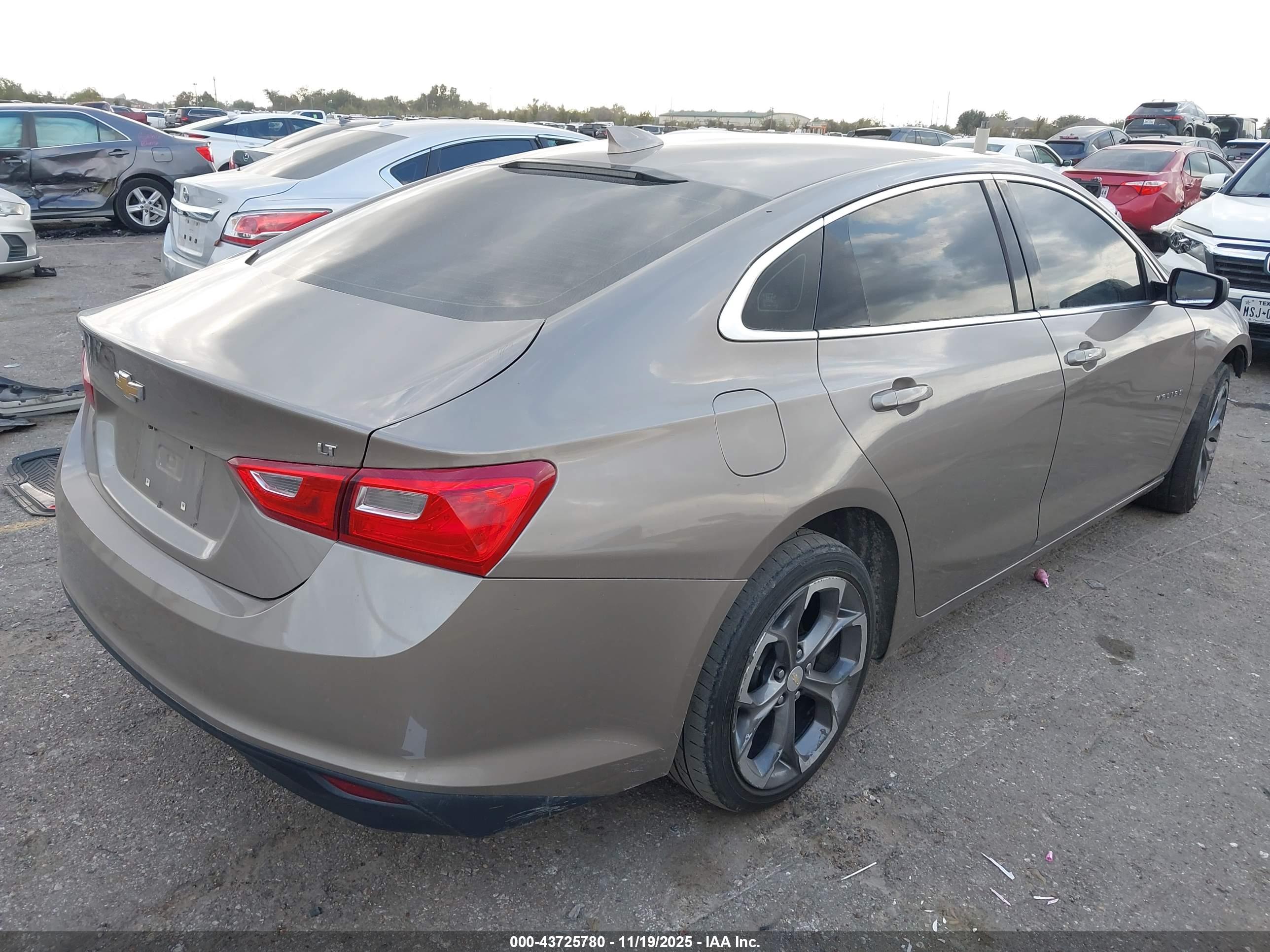 CHEVROLET MALIBU image 4