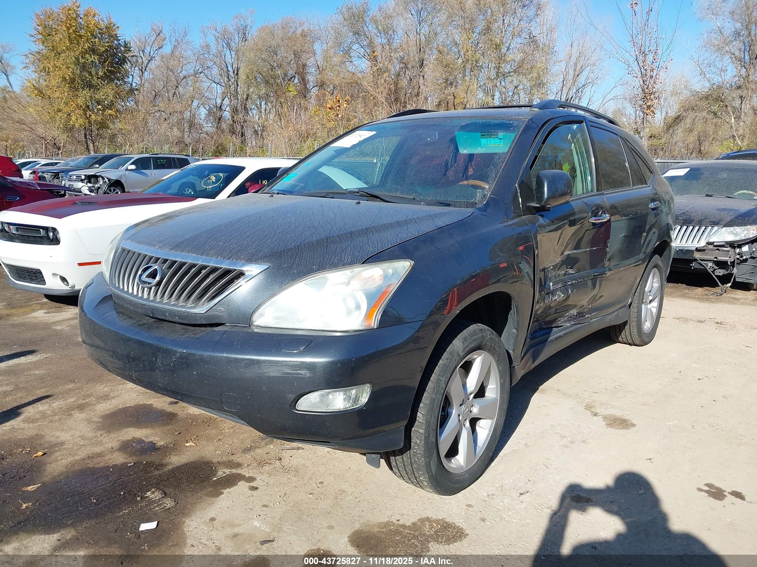 LEXUS RX image 2