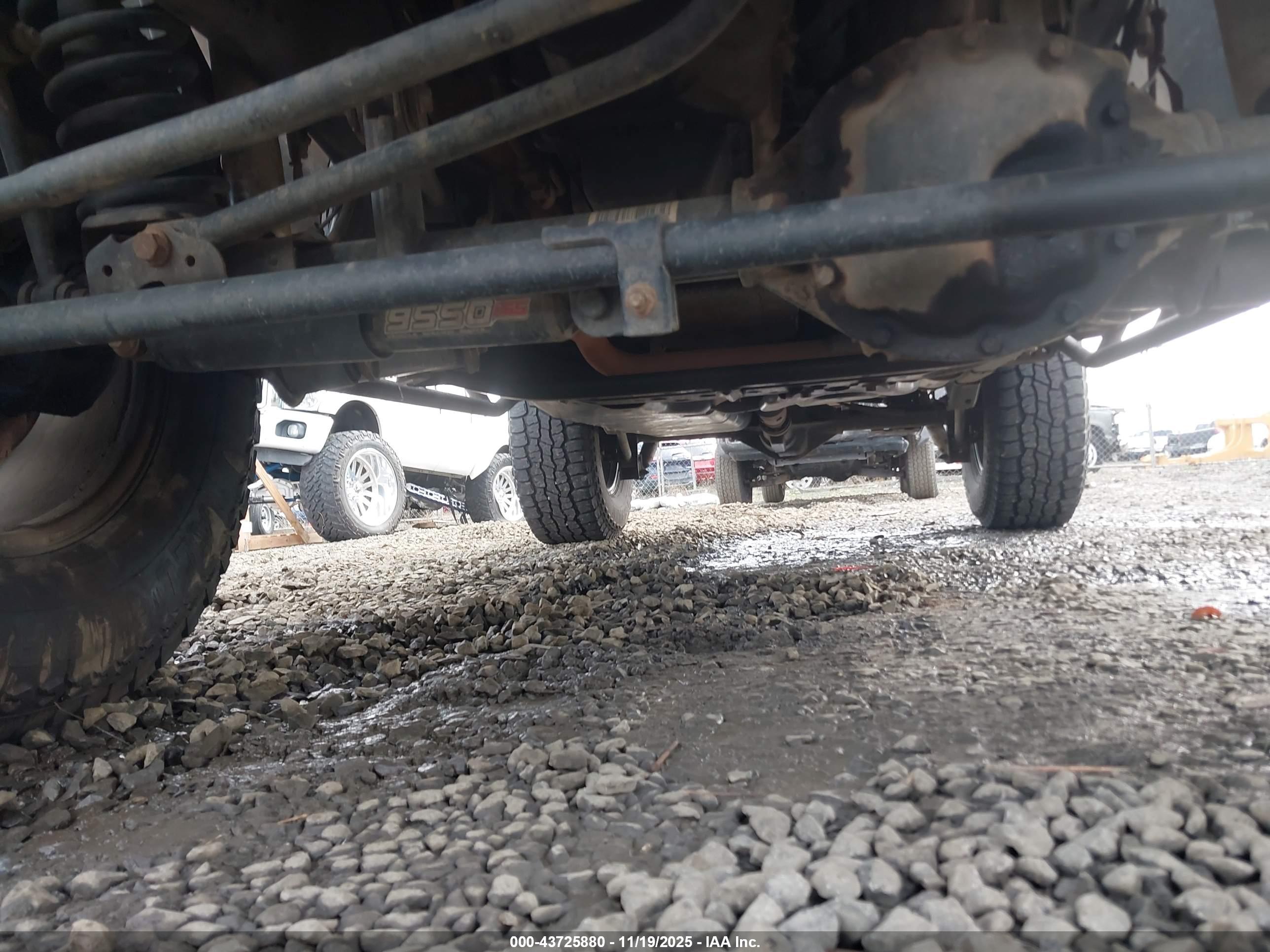 JEEP WRANGLER image 6