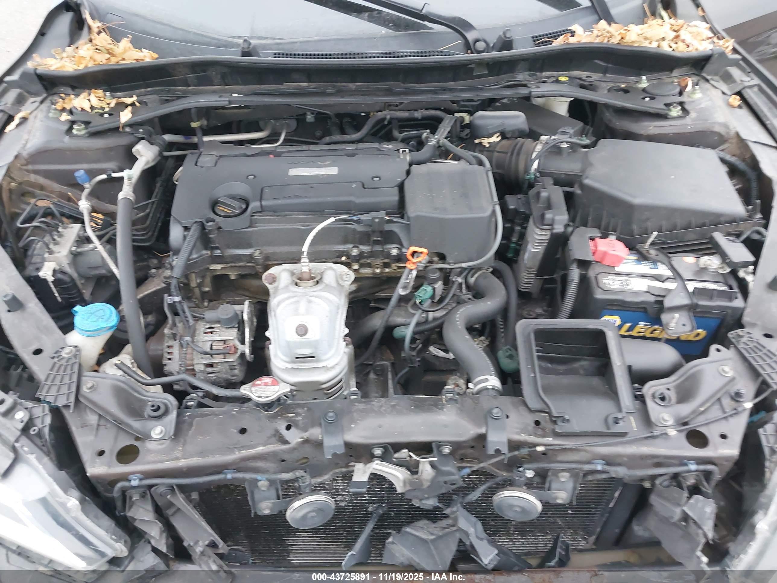 HONDA ACCORD image 10