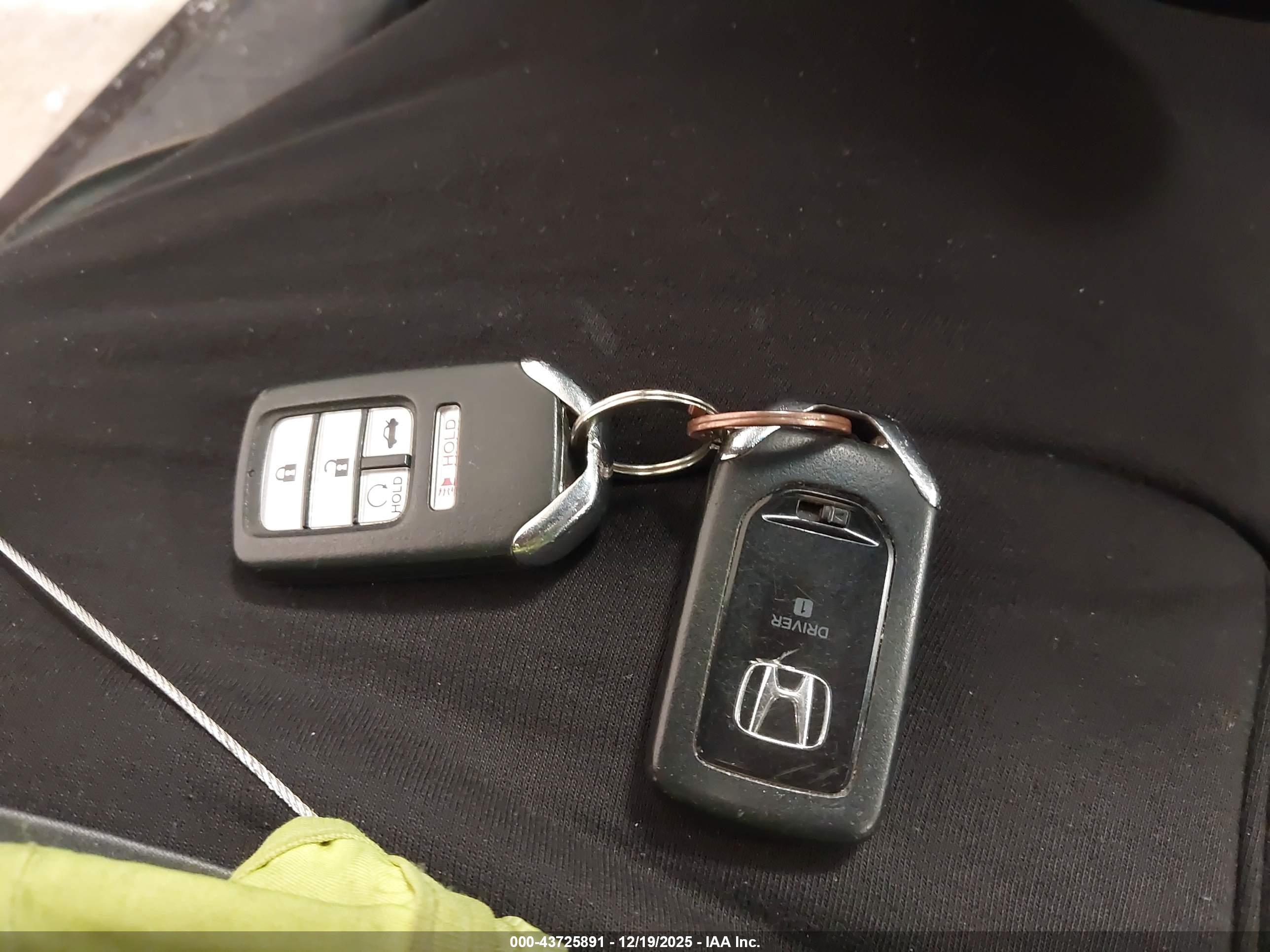 HONDA ACCORD image 11
