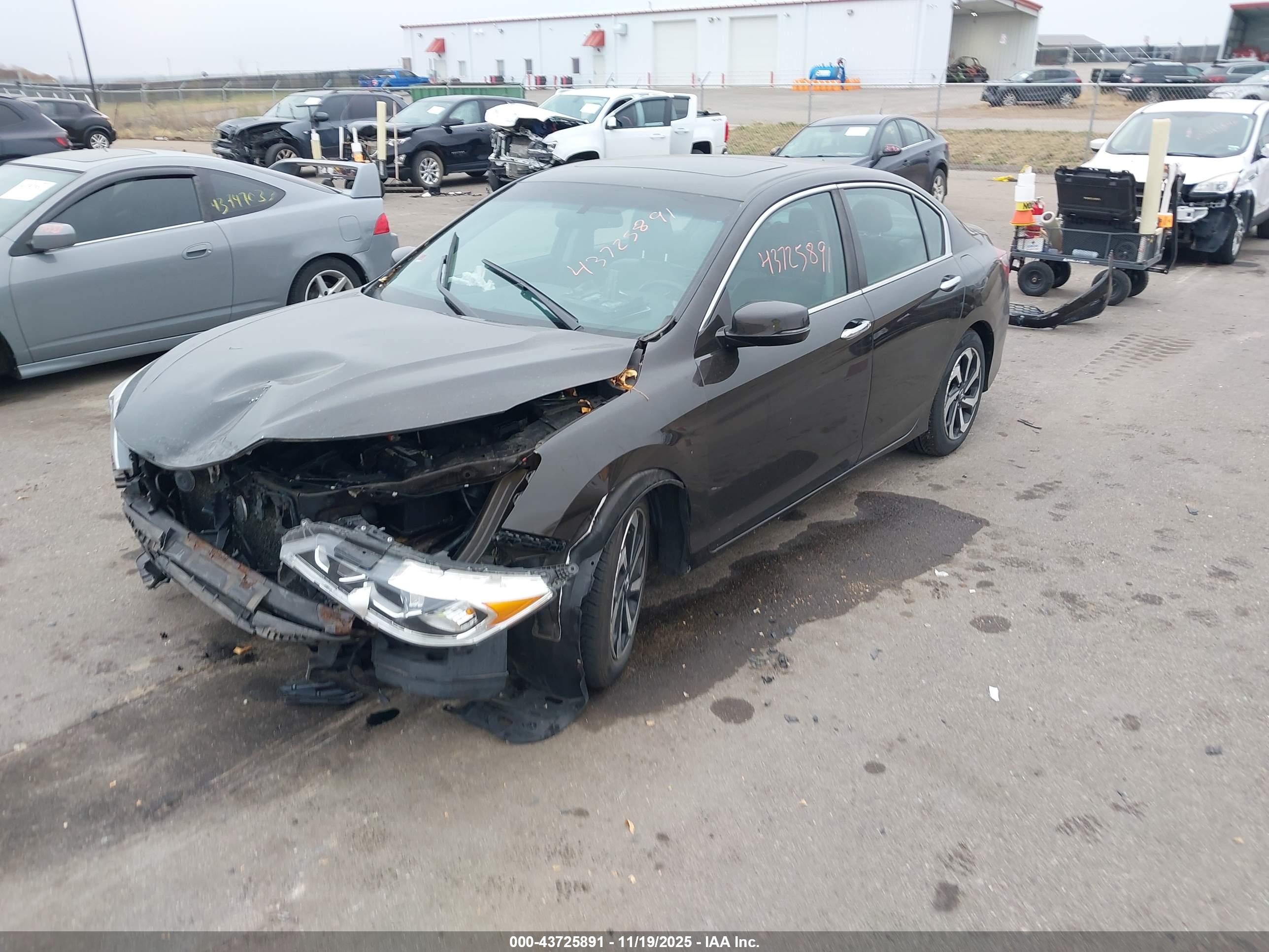 HONDA ACCORD image 2