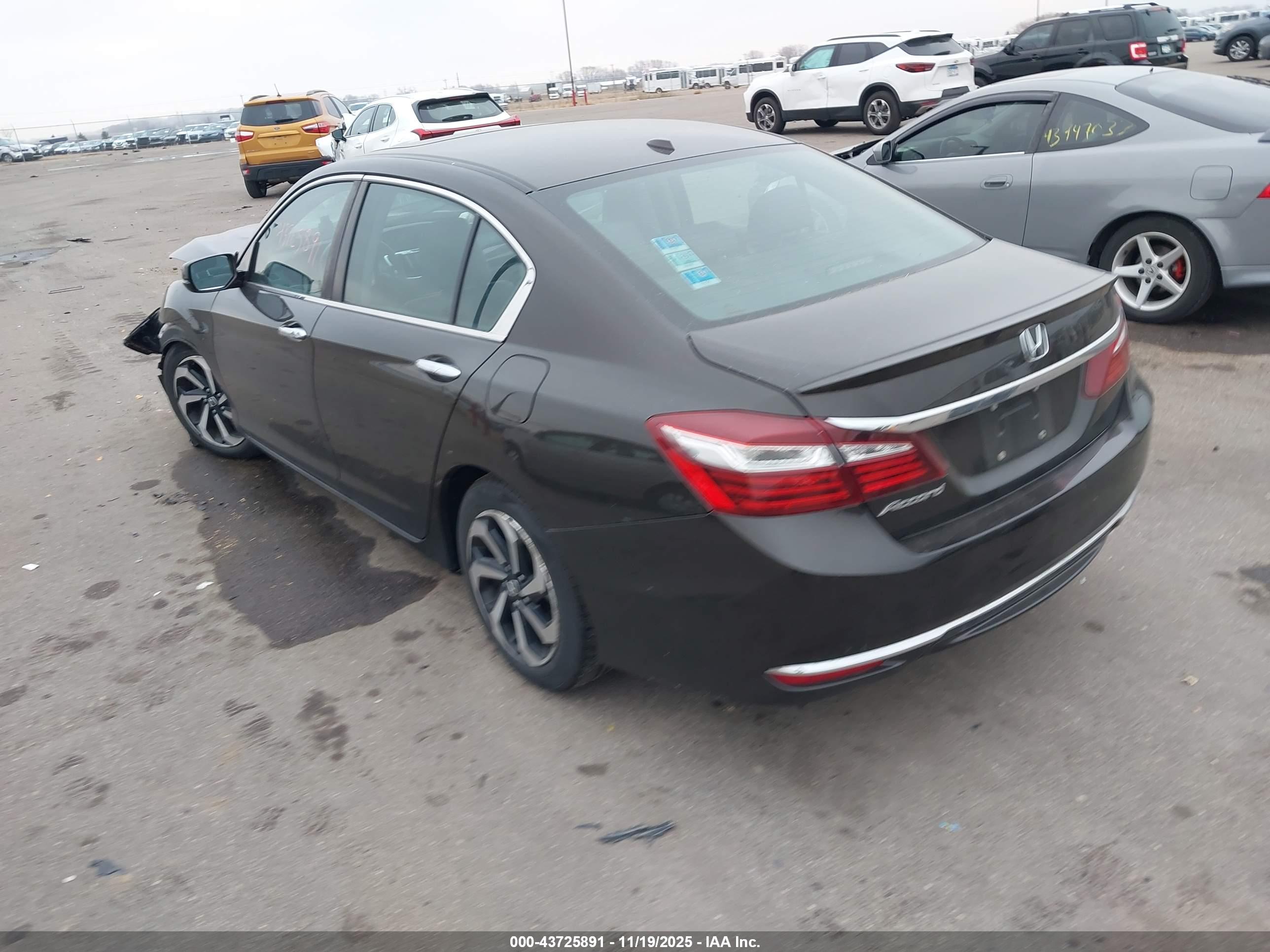 HONDA ACCORD image 3
