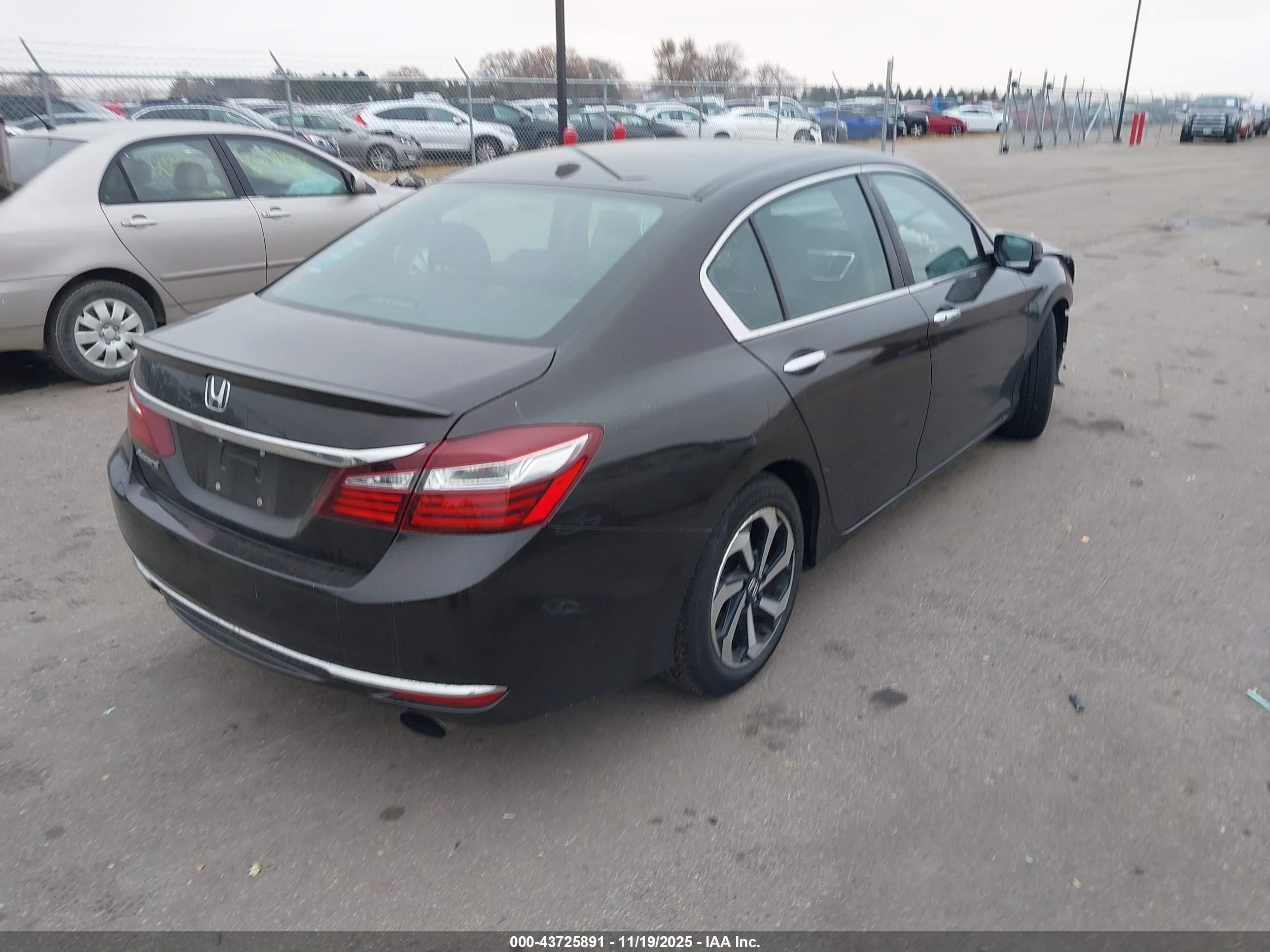 HONDA ACCORD image 4