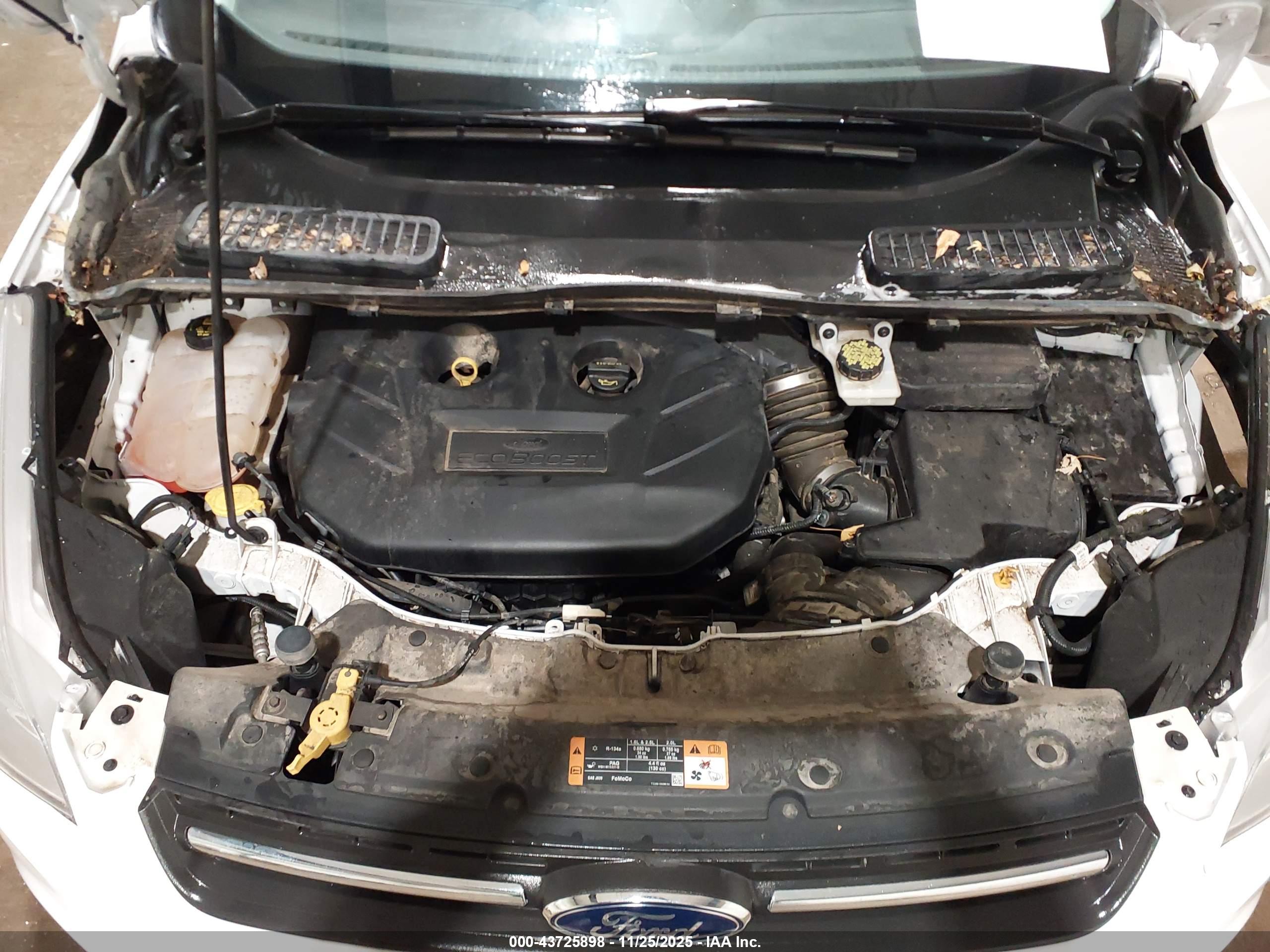 FORD ESCAPE image 10