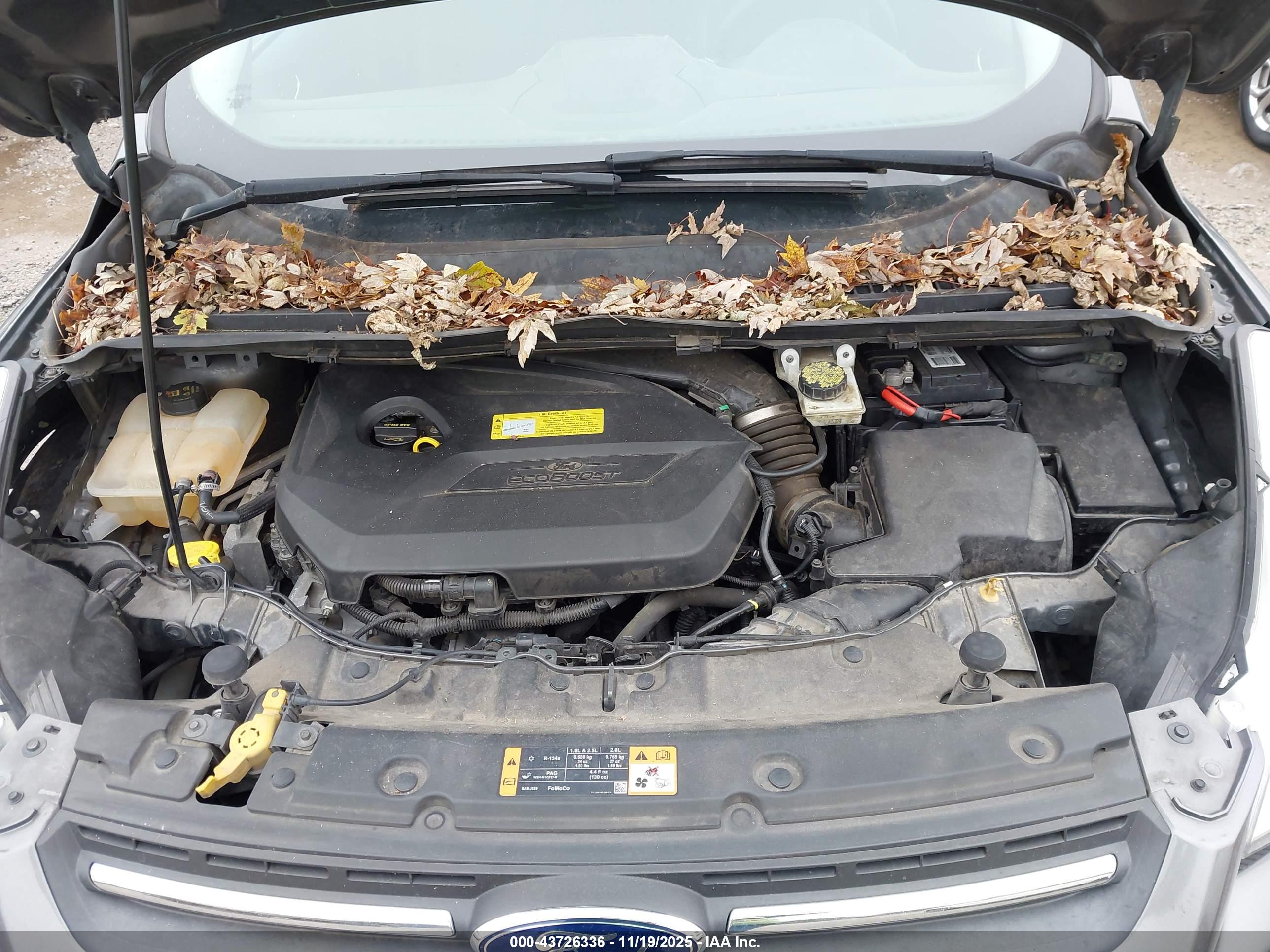 FORD ESCAPE image 10