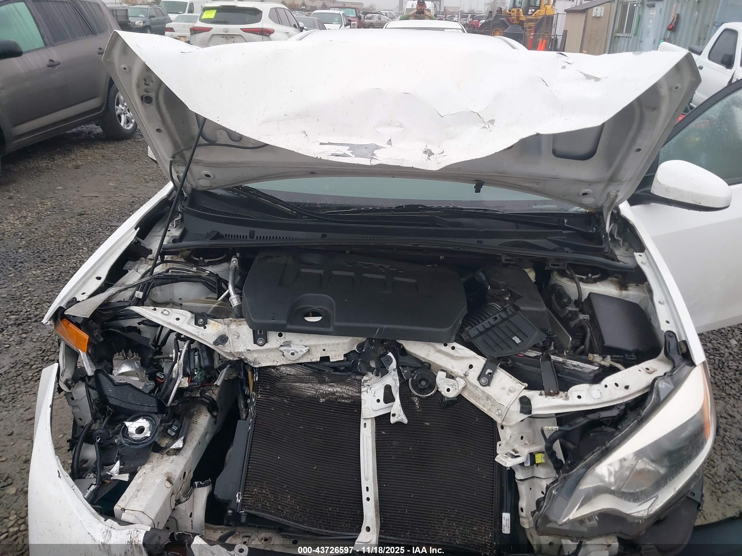 TOYOTA COROLLA image 10