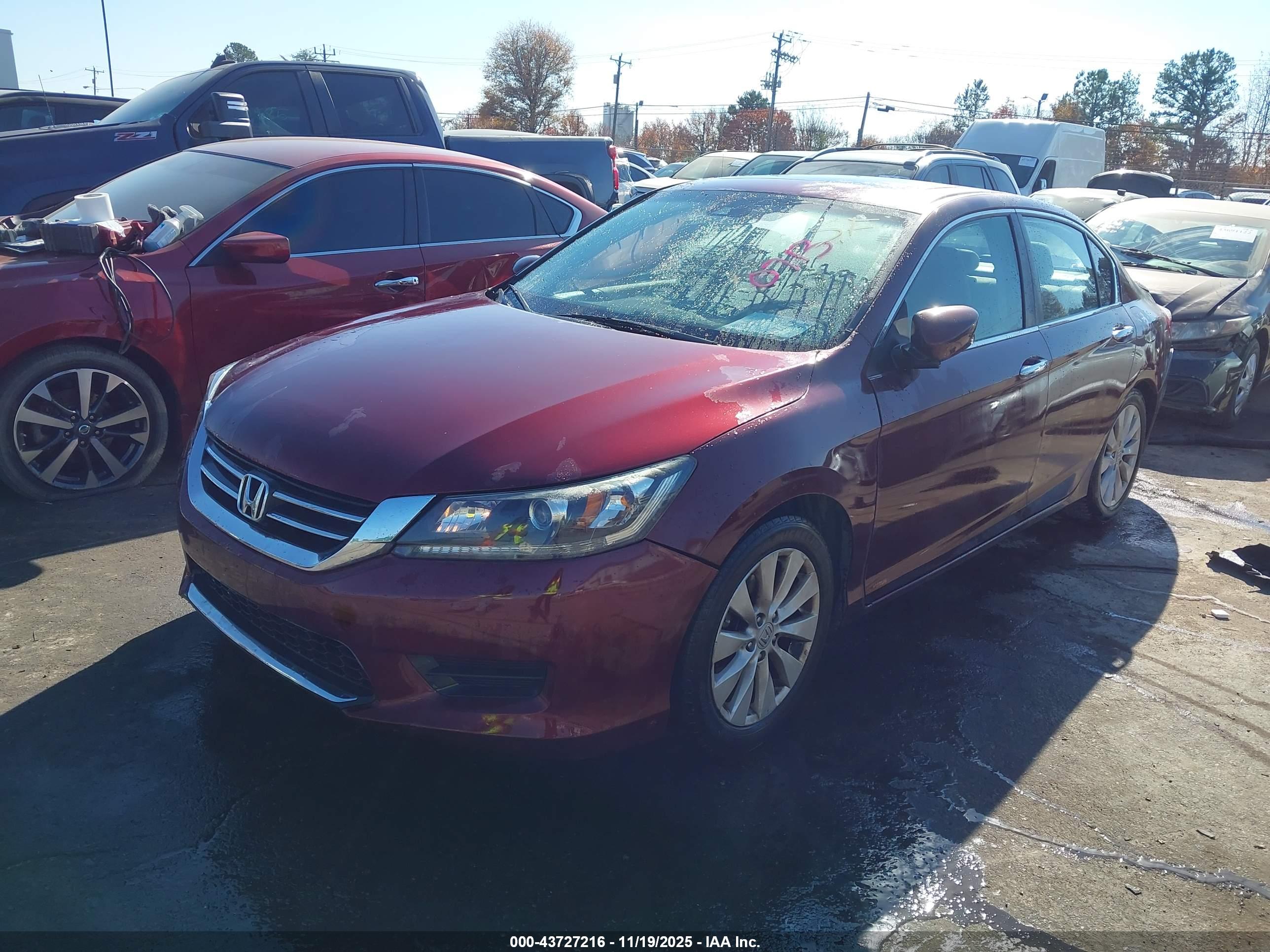 HONDA ACCORD image 2