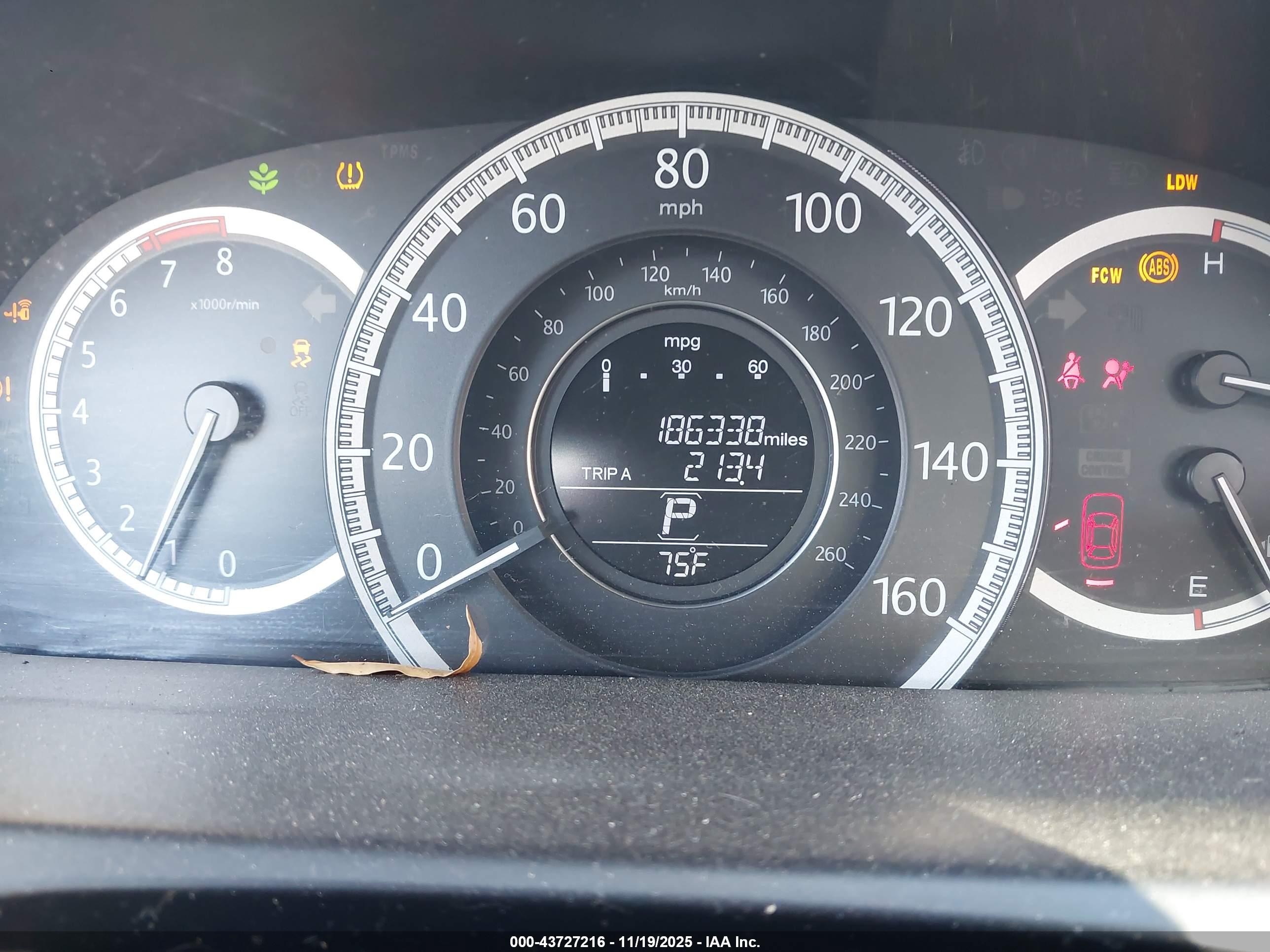 HONDA ACCORD image 7