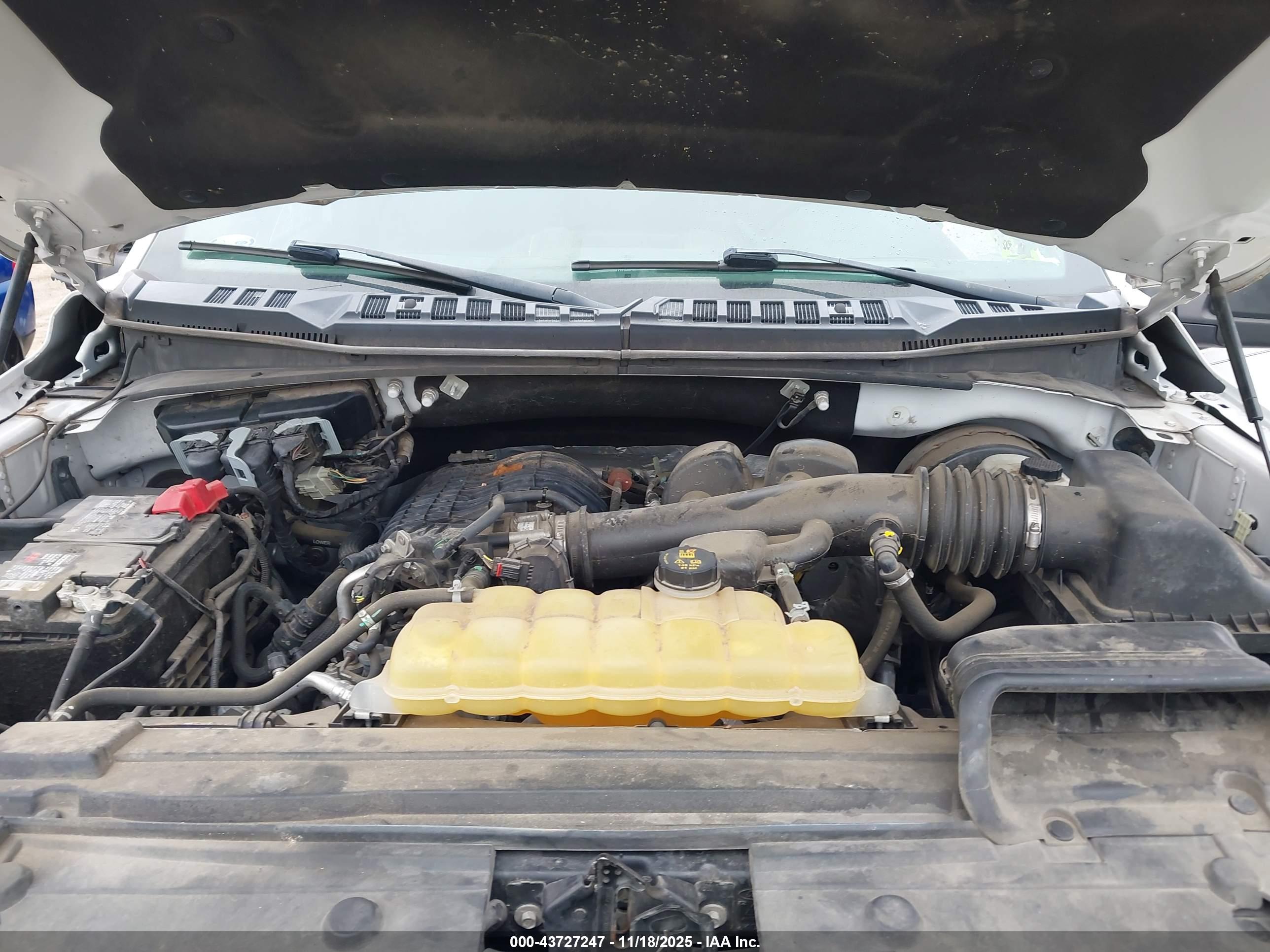 FORD F-150 image 10