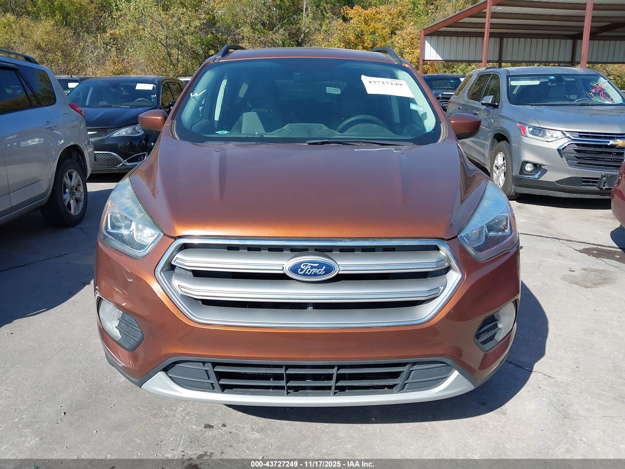 FORD ESCAPE image 6