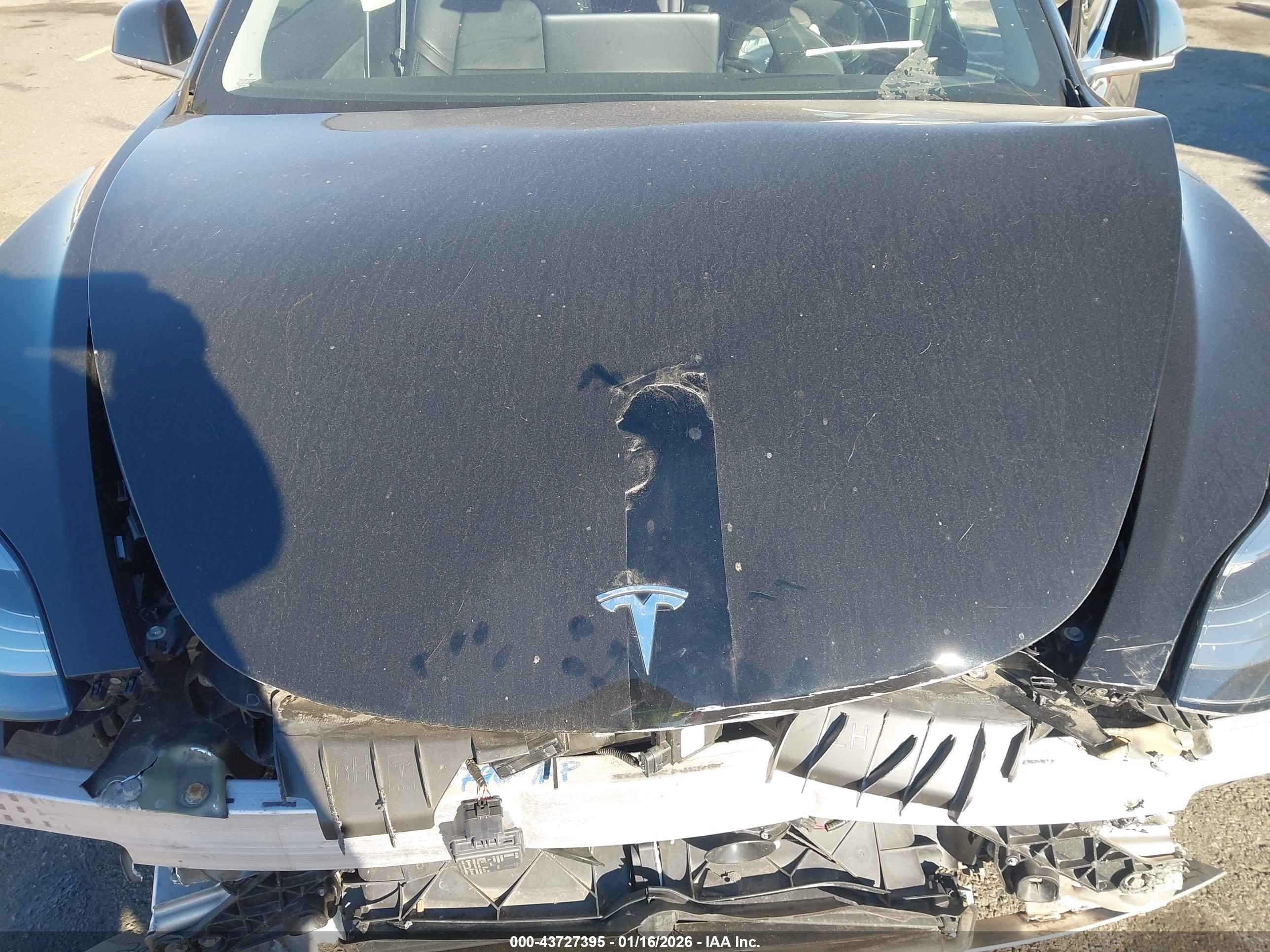 TESLA MODEL image 10