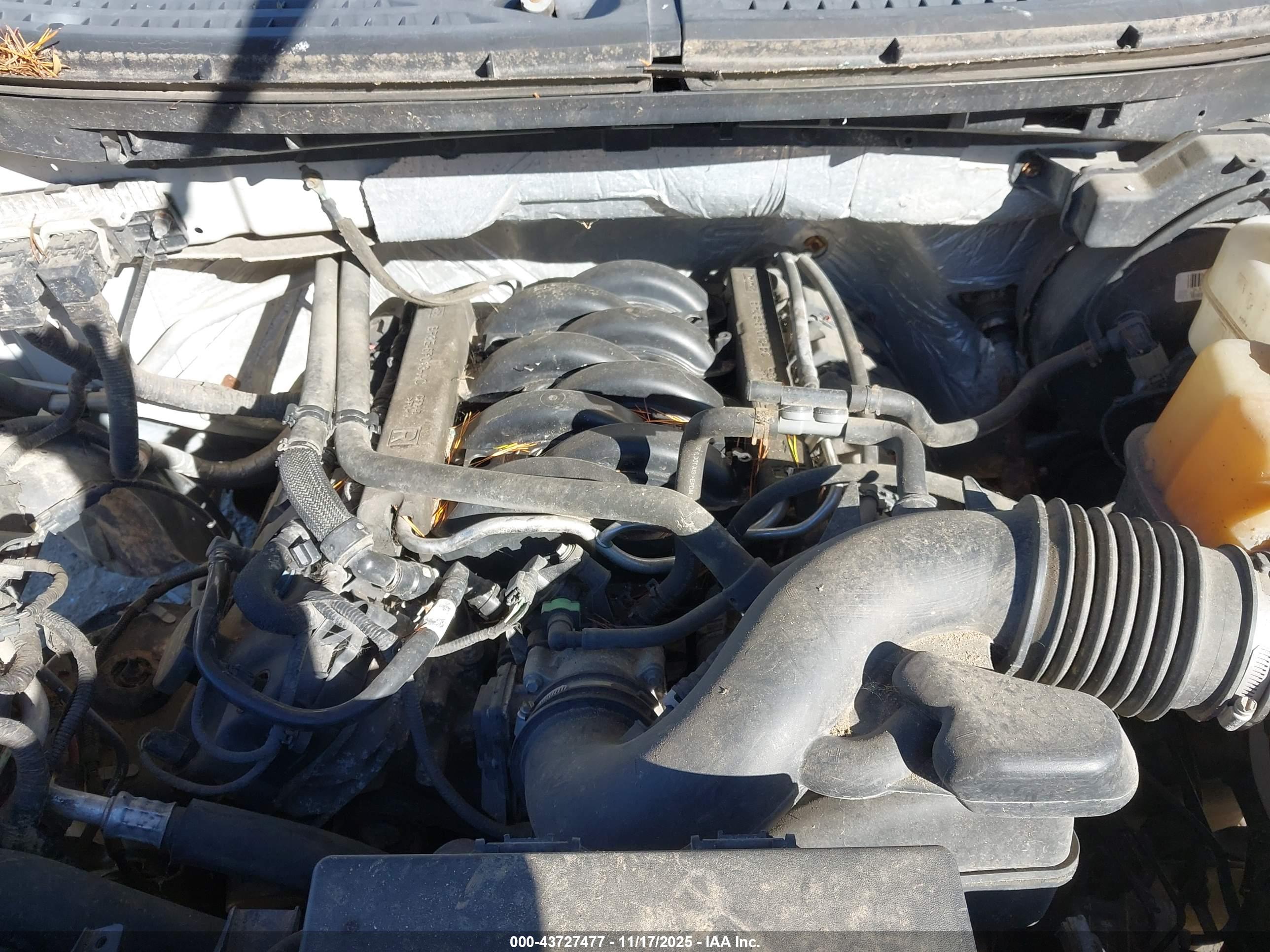 FORD F-150 image 10