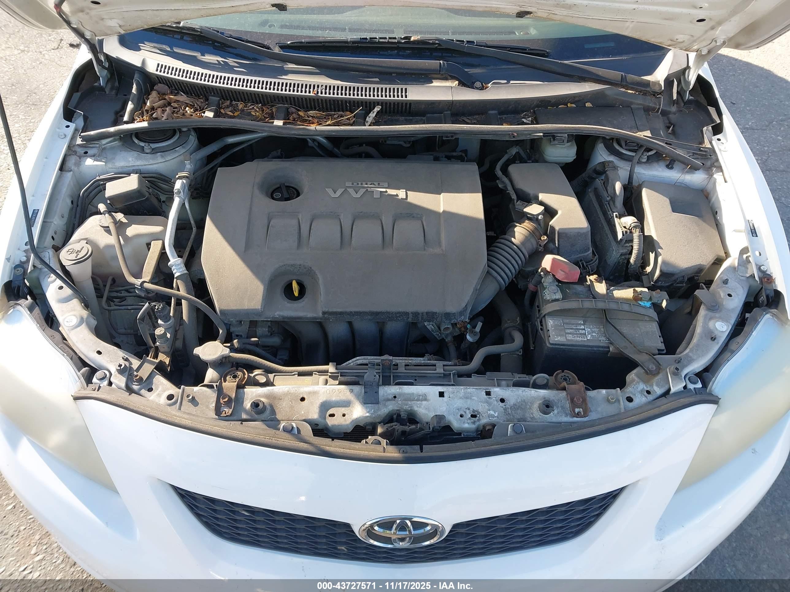 TOYOTA COROLLA image 10