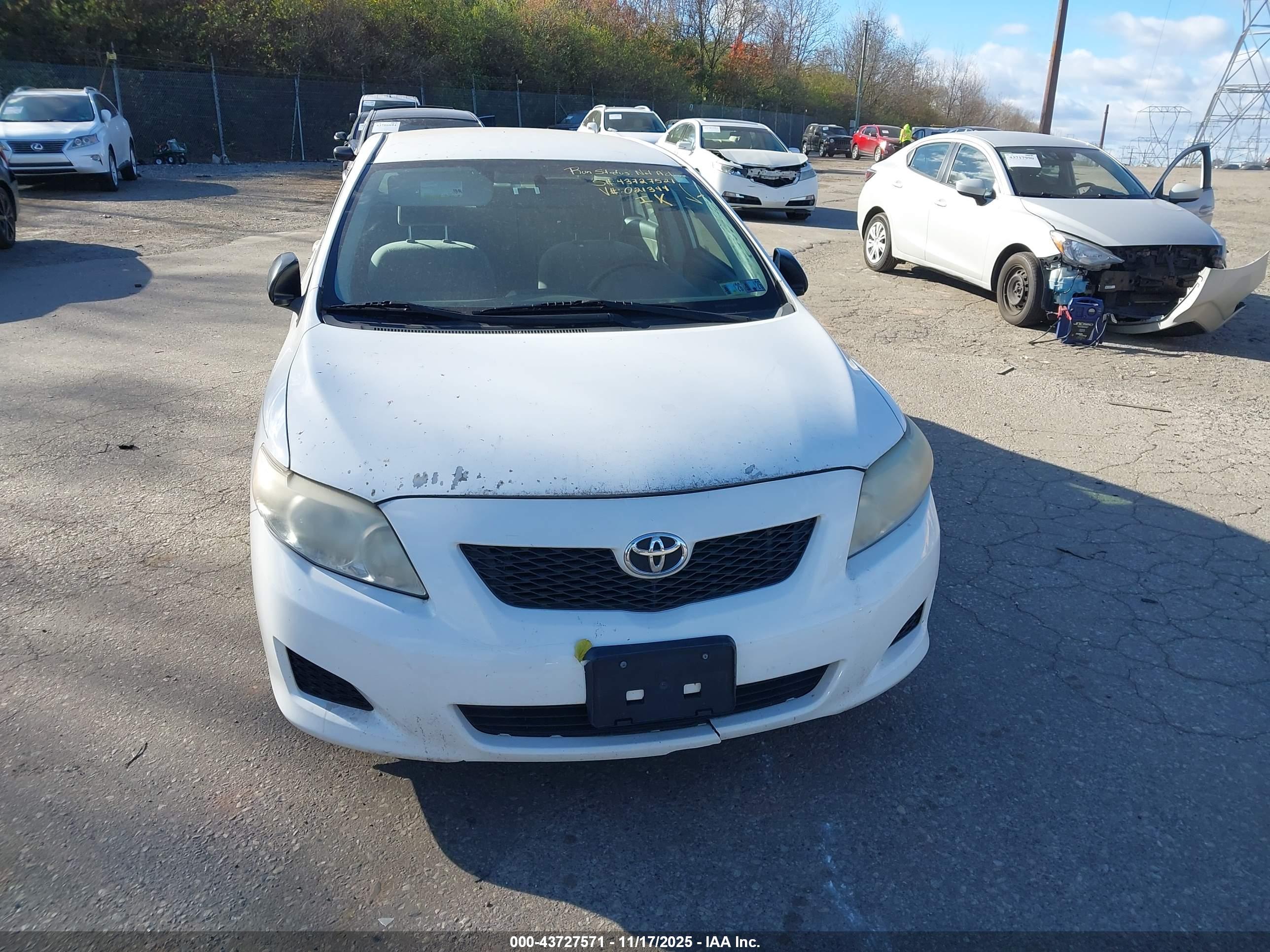 TOYOTA COROLLA image 6