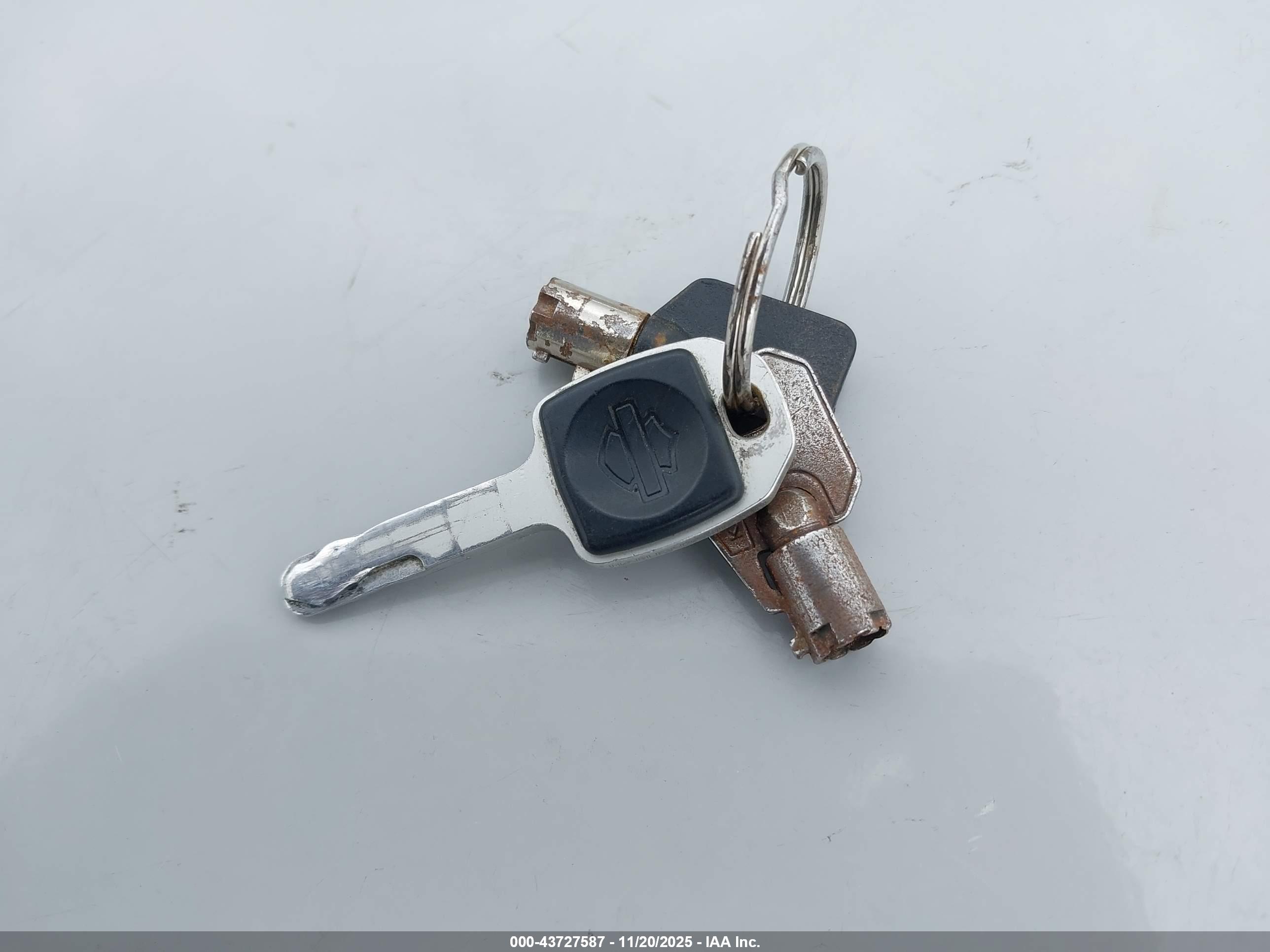HARLEY-DAVIDSON FLSB image 11