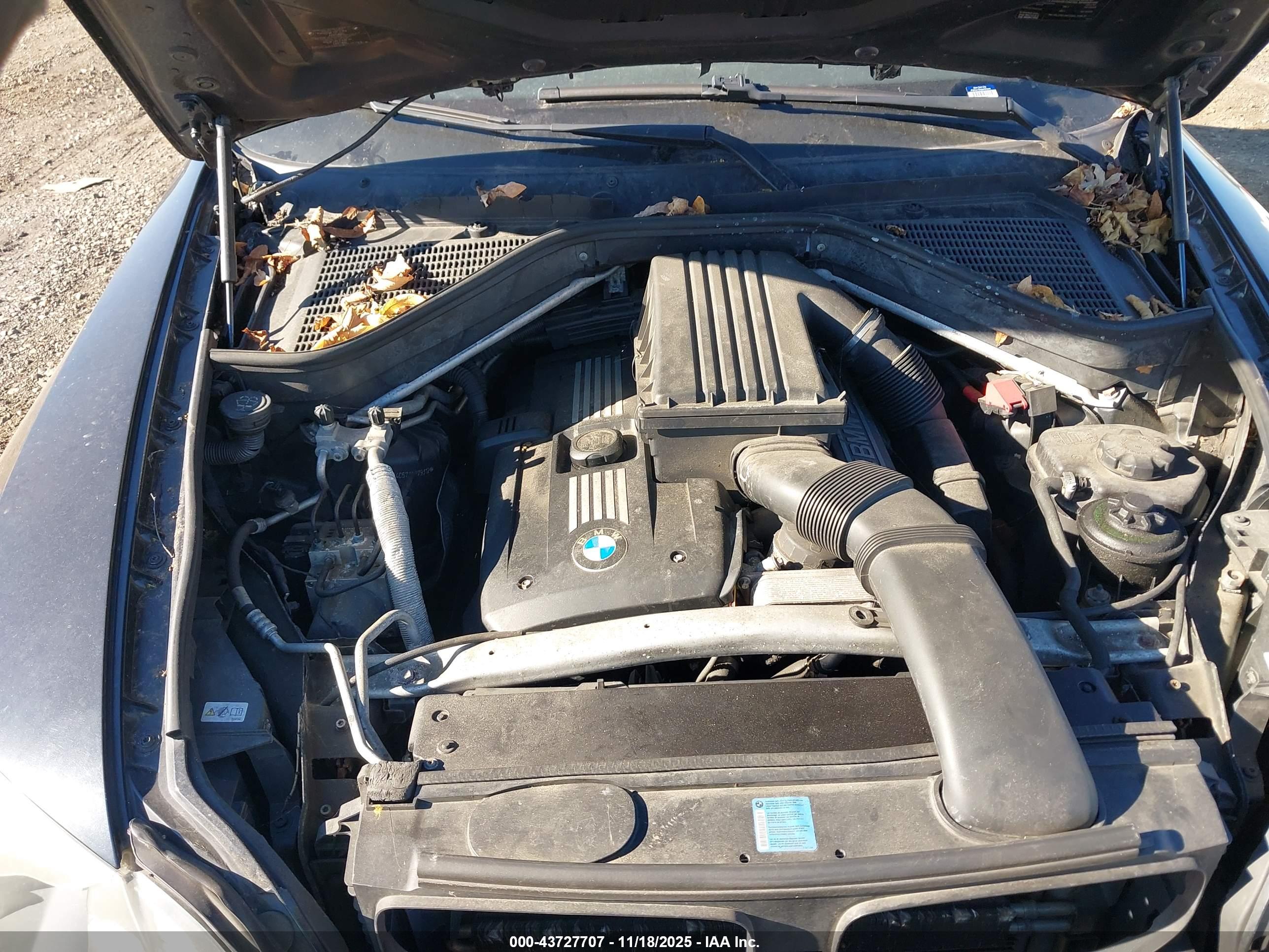 BMW X5 image 10