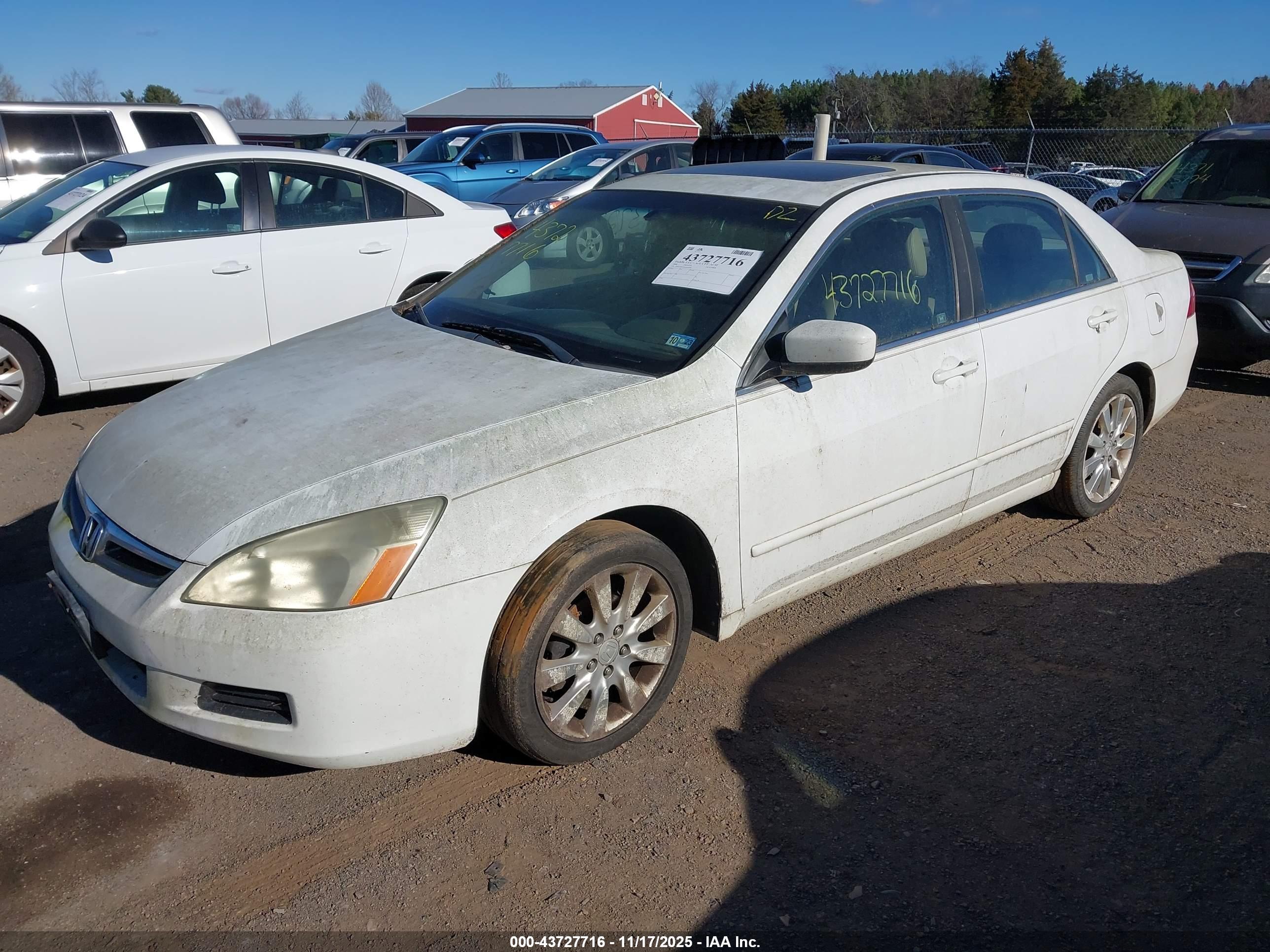 HONDA ACCORD image 2