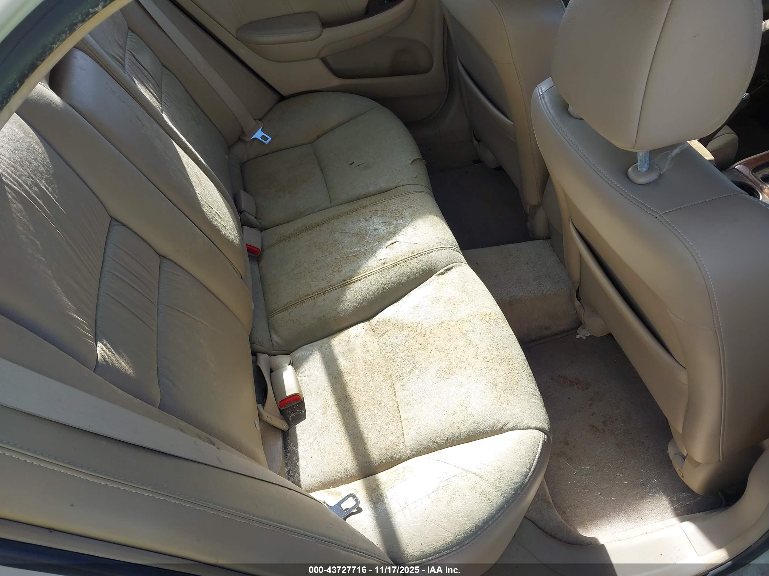 HONDA ACCORD image 8