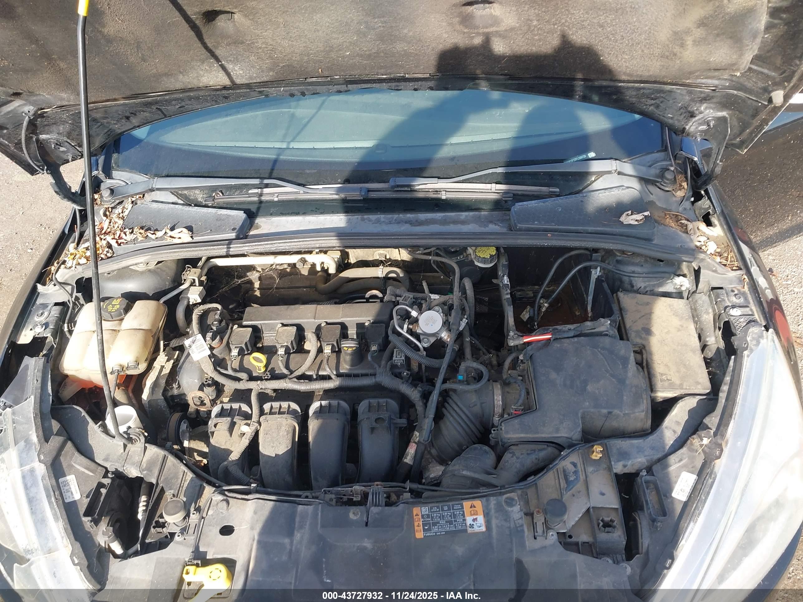 FORD FOCUS image 10