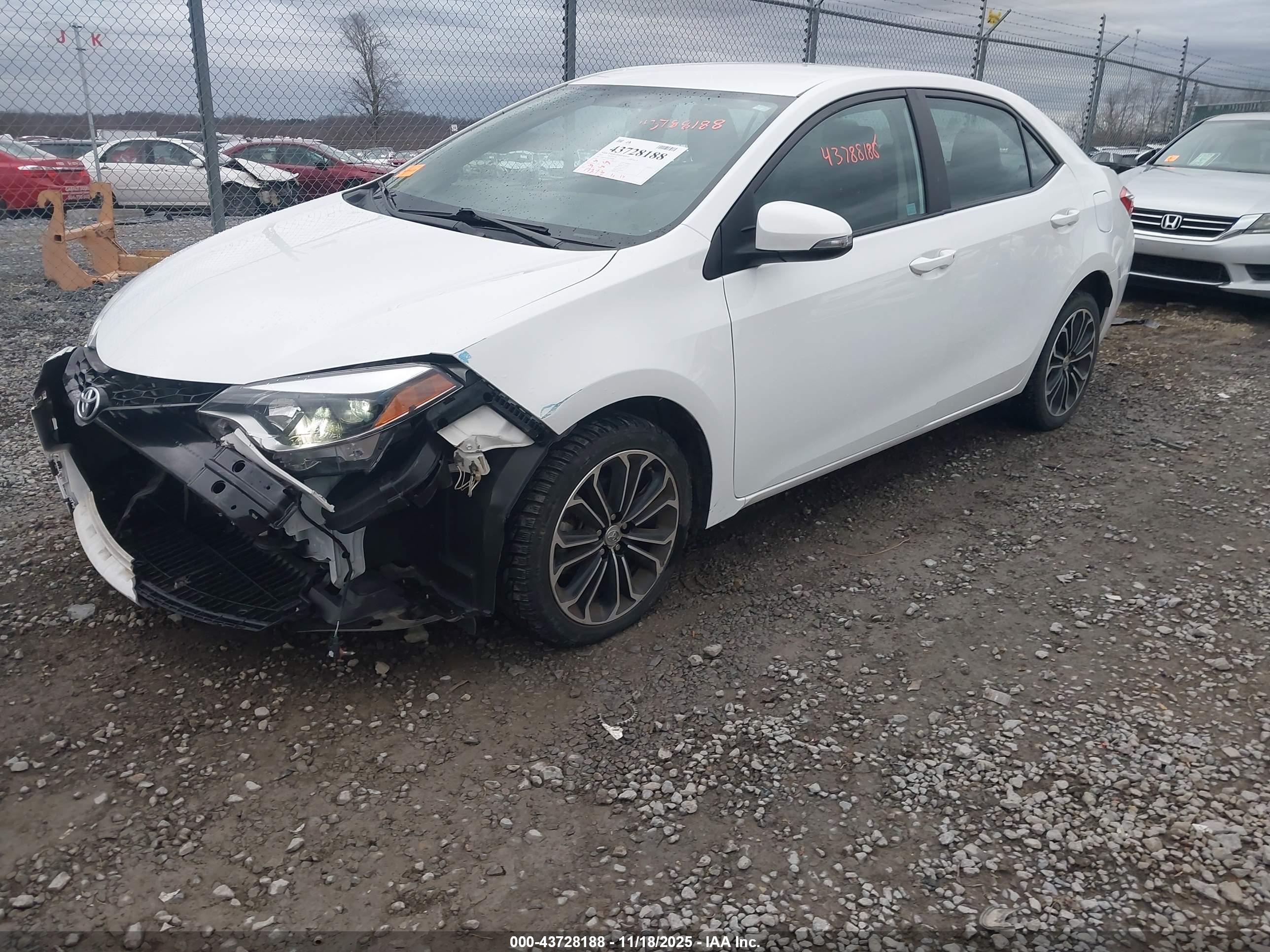 TOYOTA COROLLA image 2