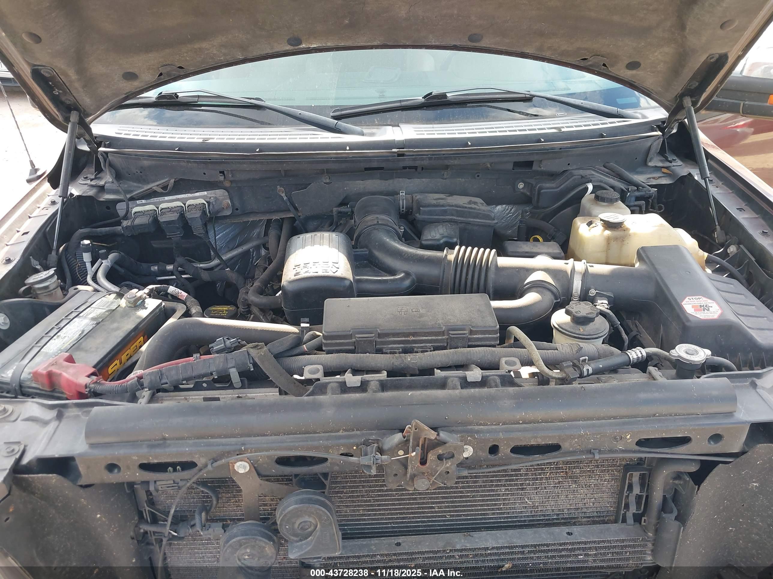 FORD F-150 image 10