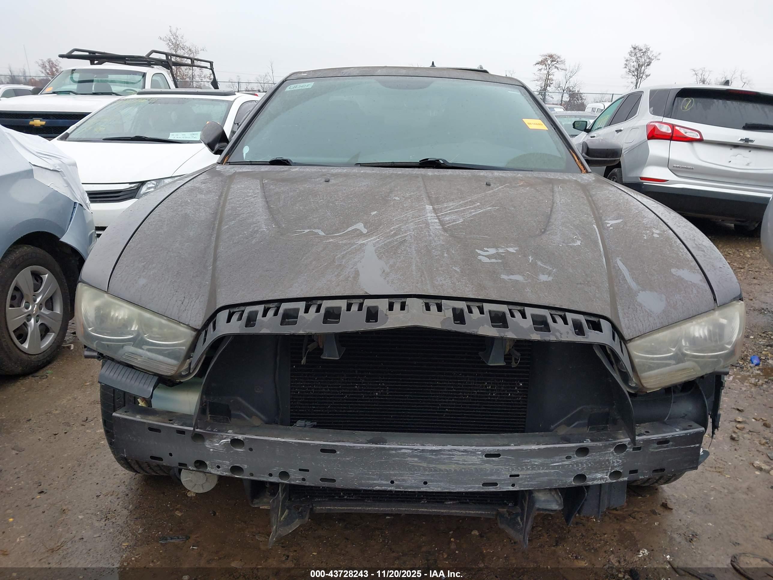 DODGE CHARGER image 6