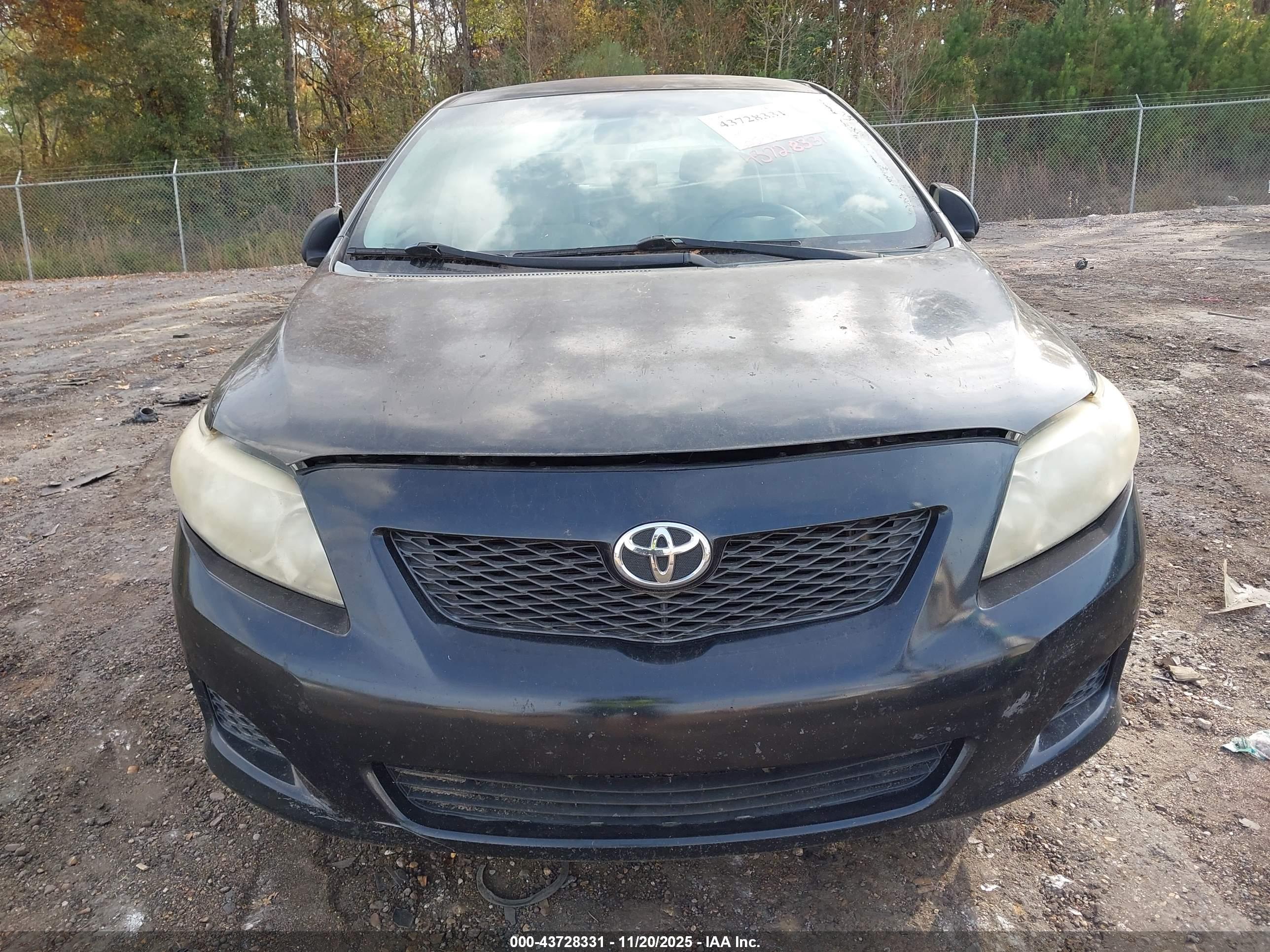 TOYOTA COROLLA image 6
