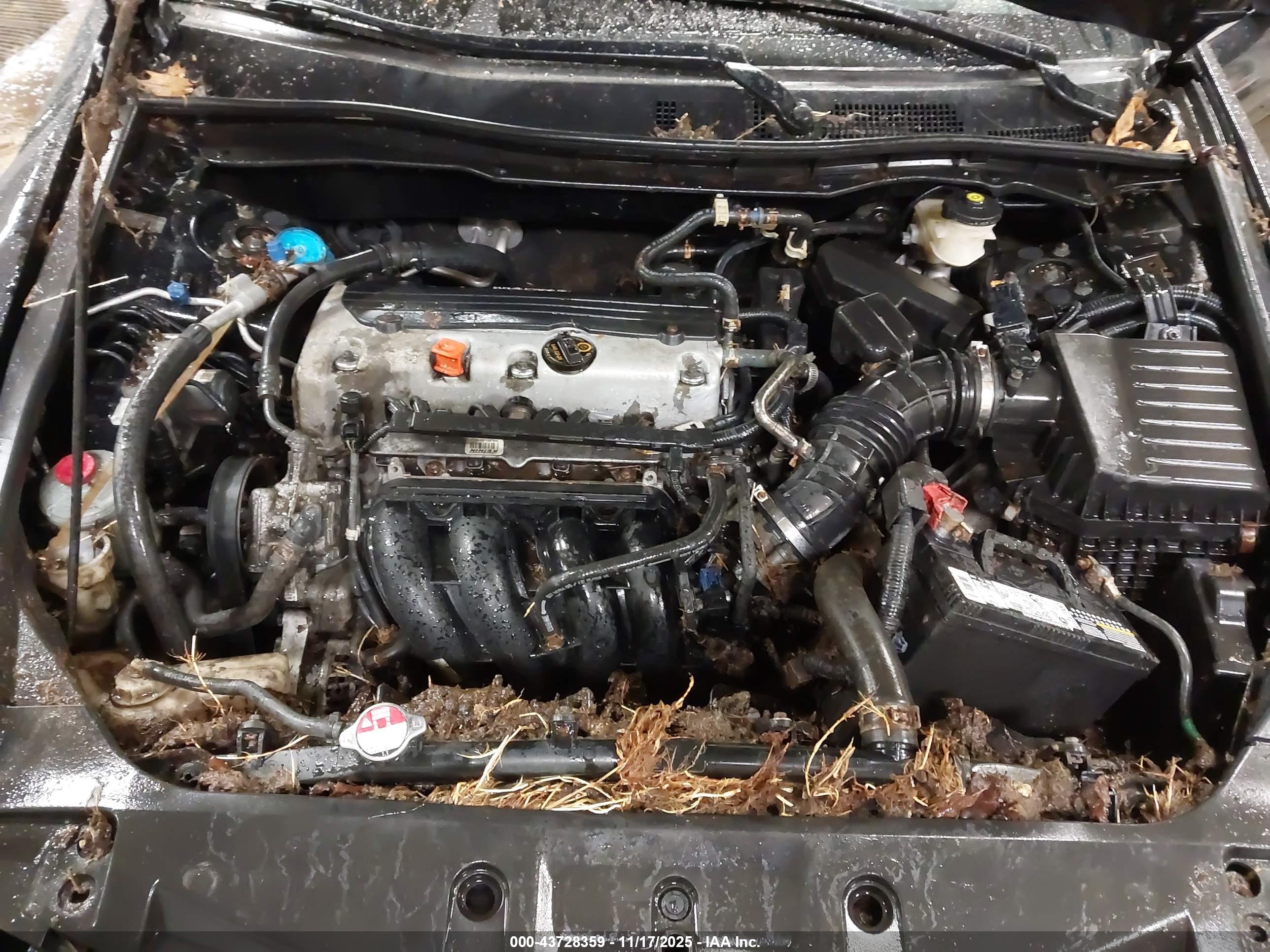 HONDA ACCORD image 10