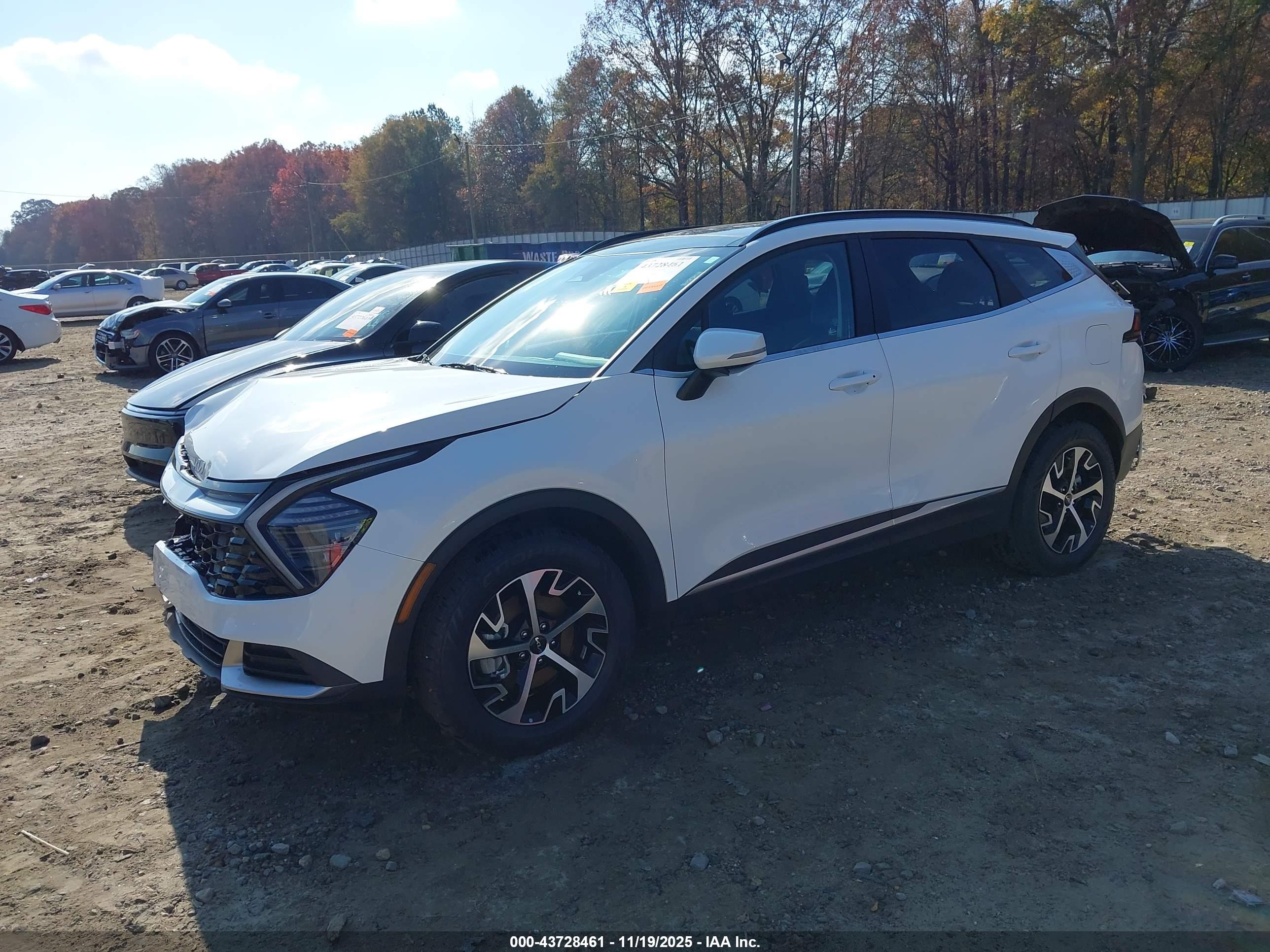 KIA SPORTAGE image 2