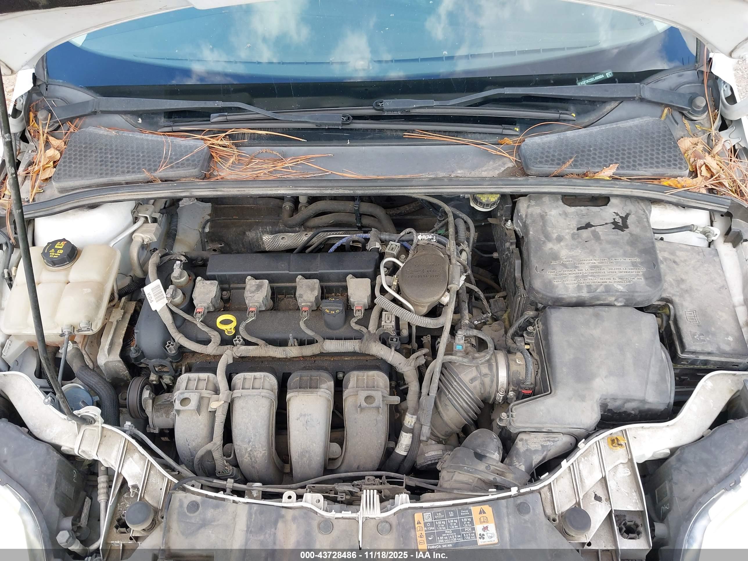 FORD FOCUS image 10