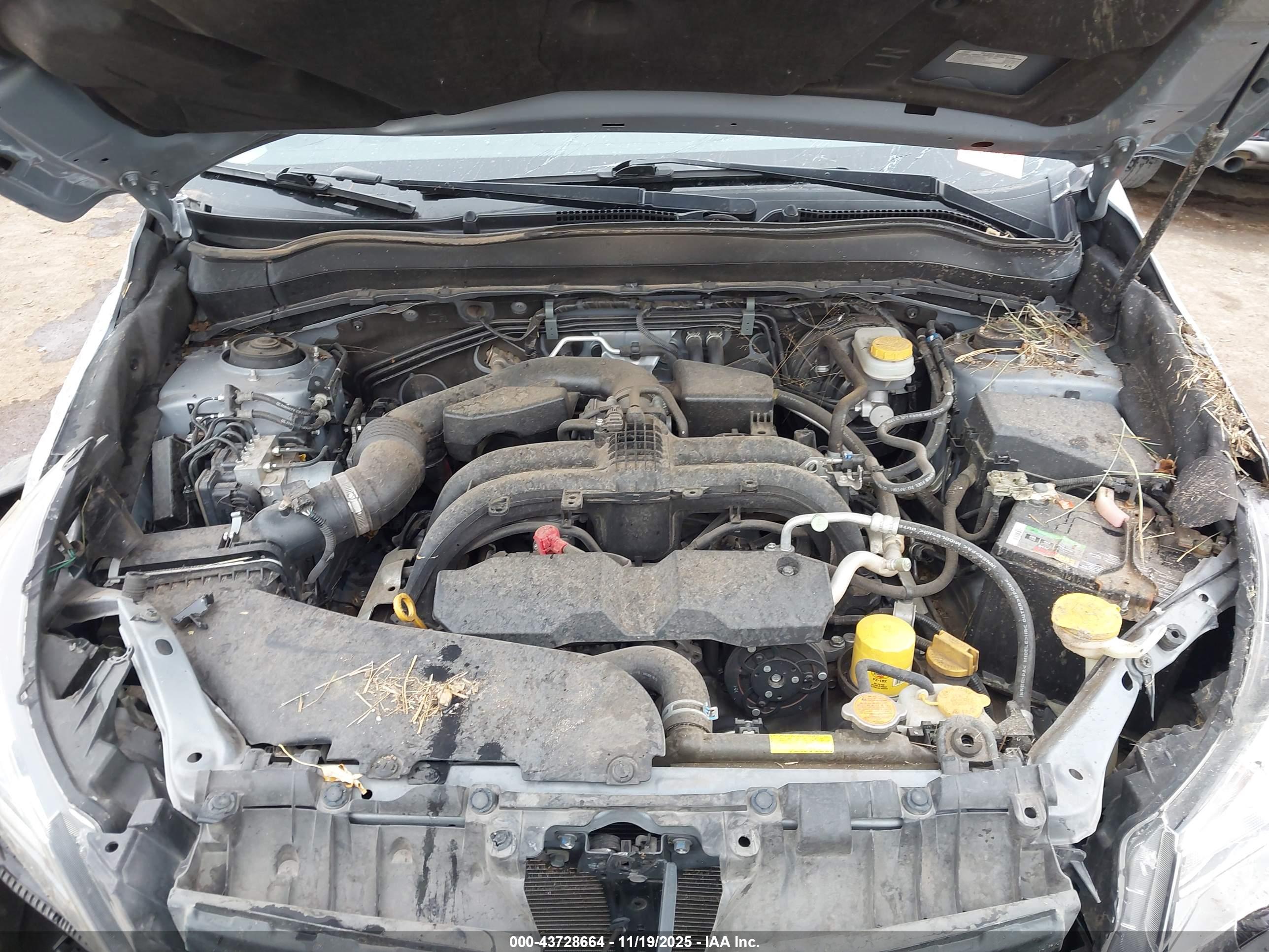 SUBARU FORESTER image 10