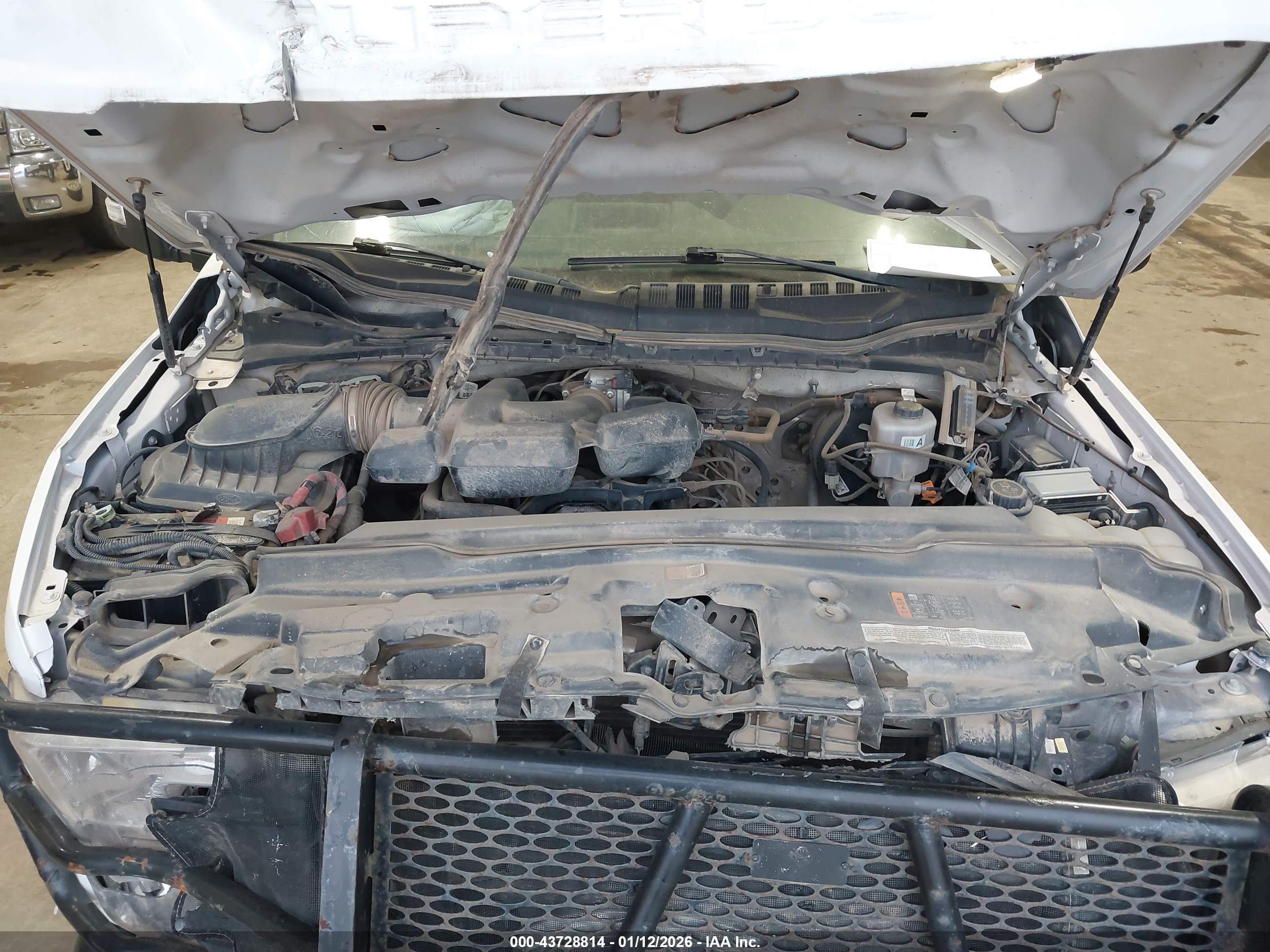 FORD F-250 image 10