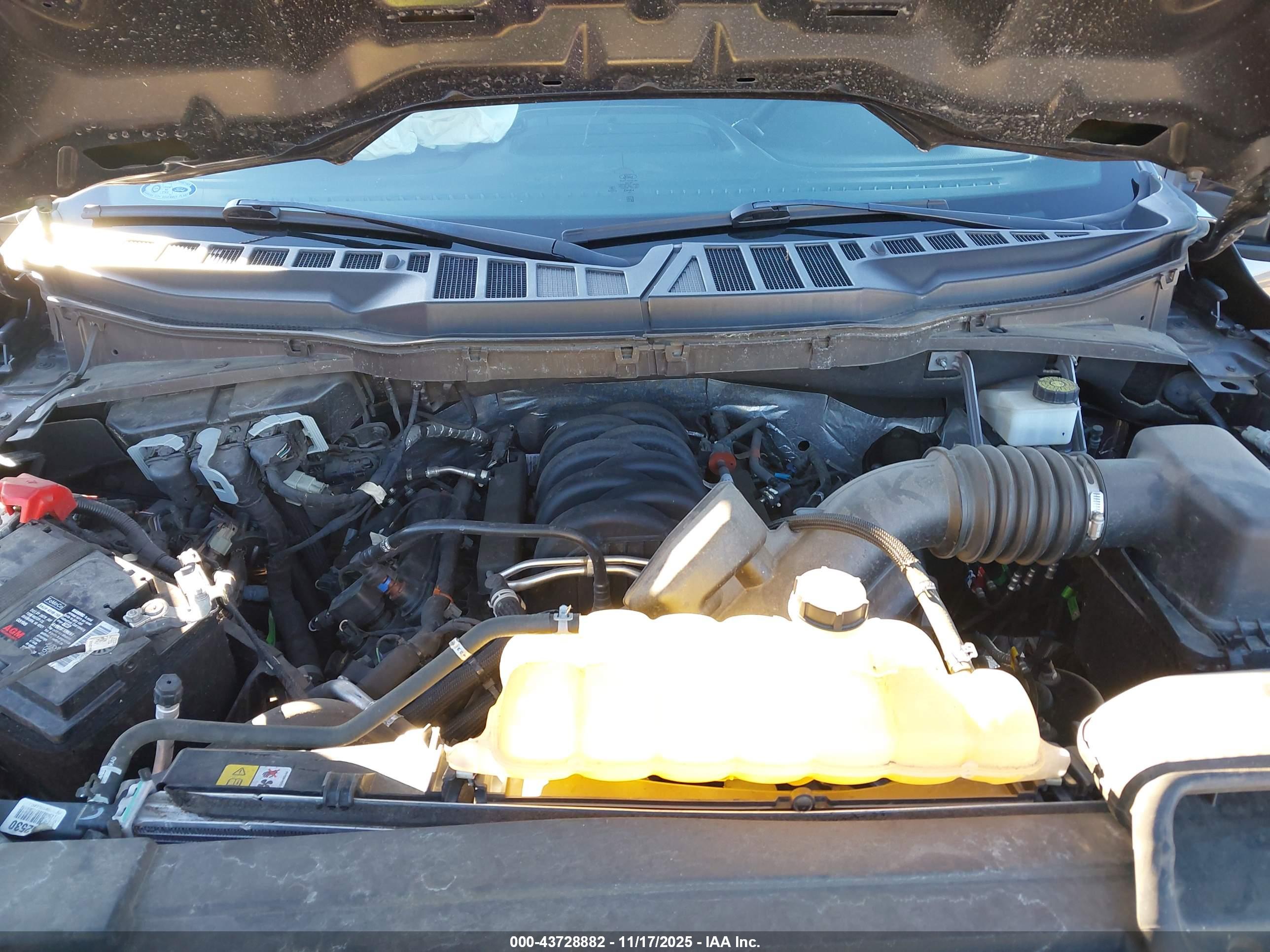 FORD F-150 image 10