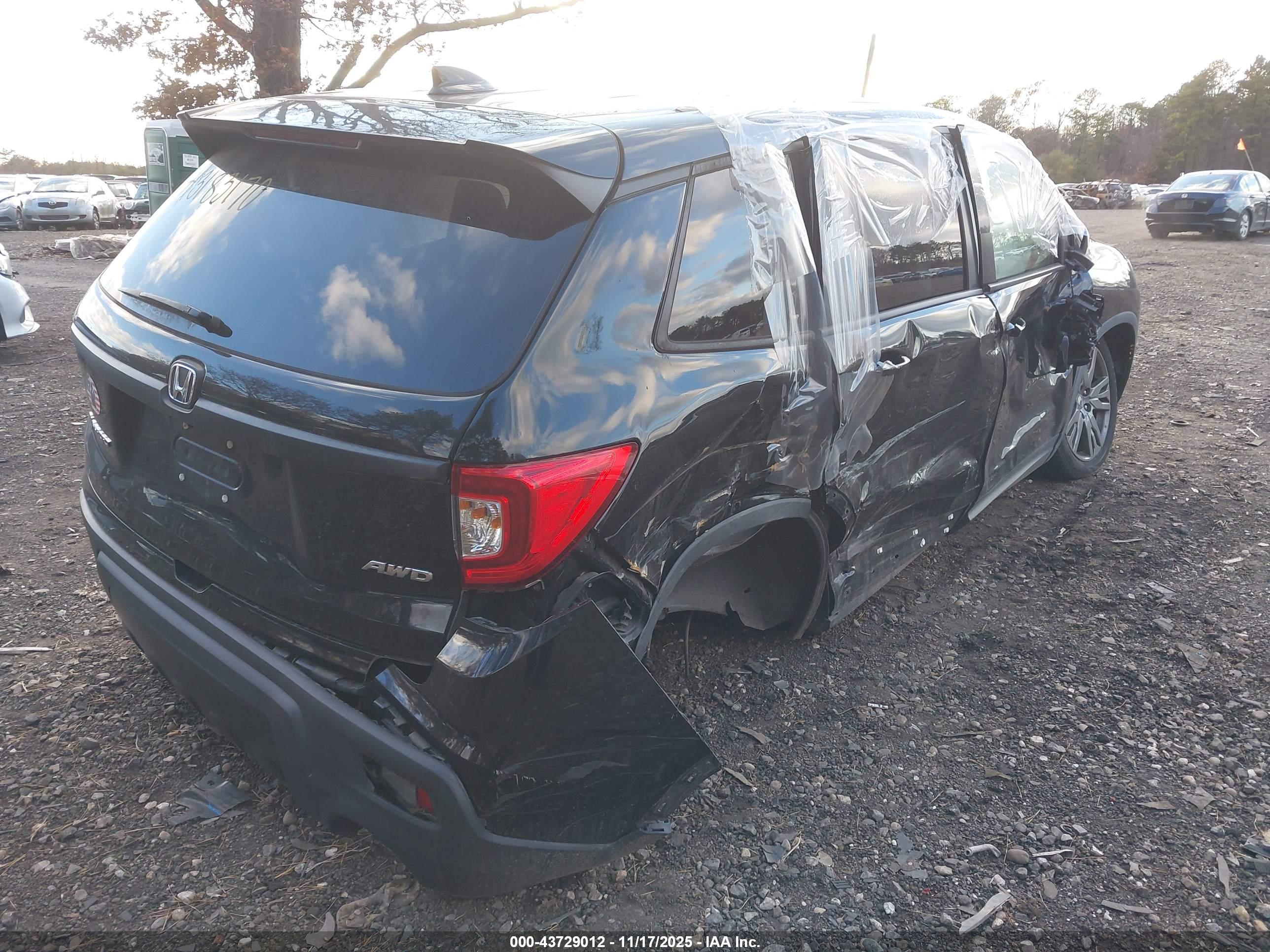 HONDA PASSPORT image 4