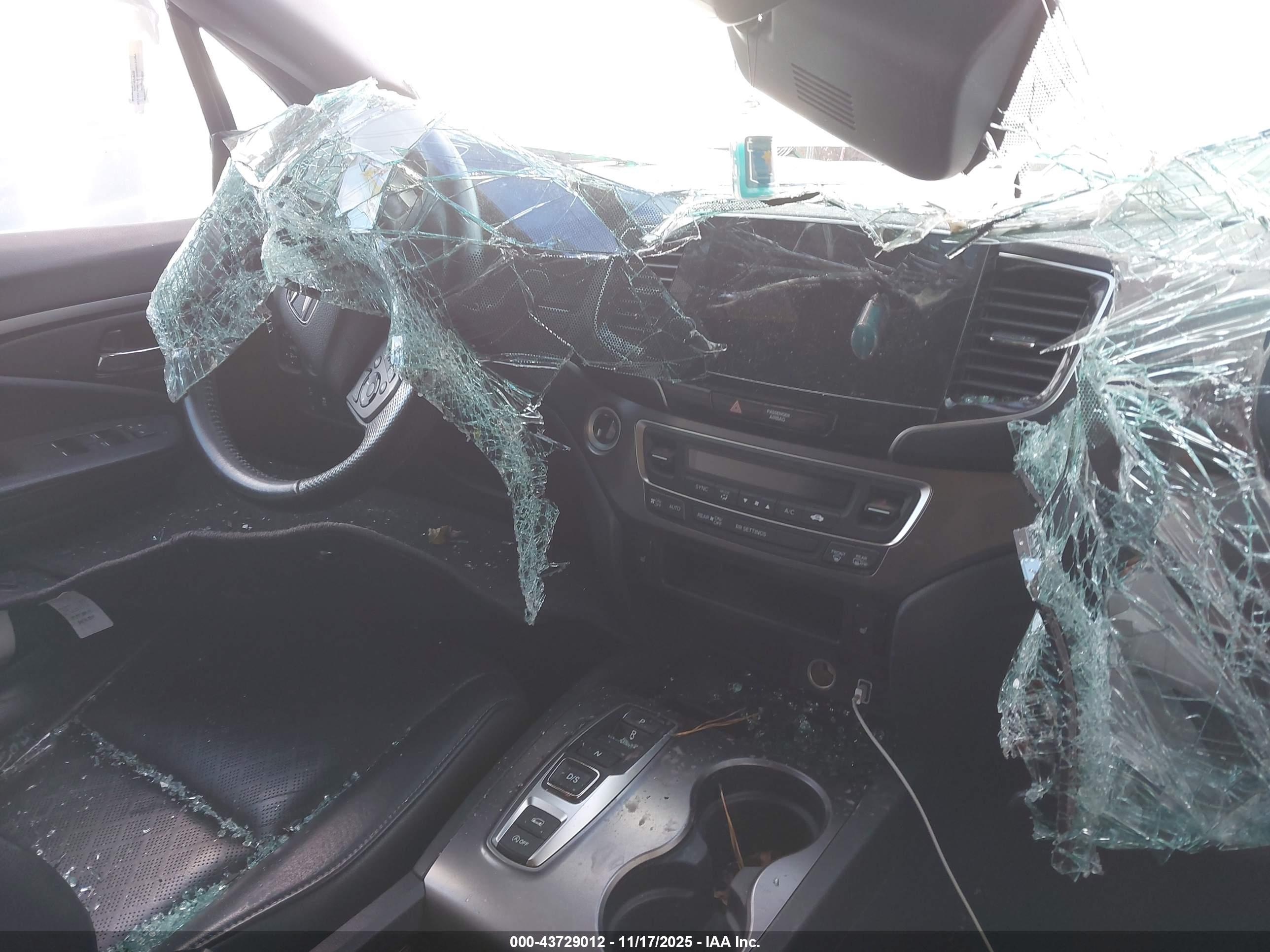 HONDA PASSPORT image 5