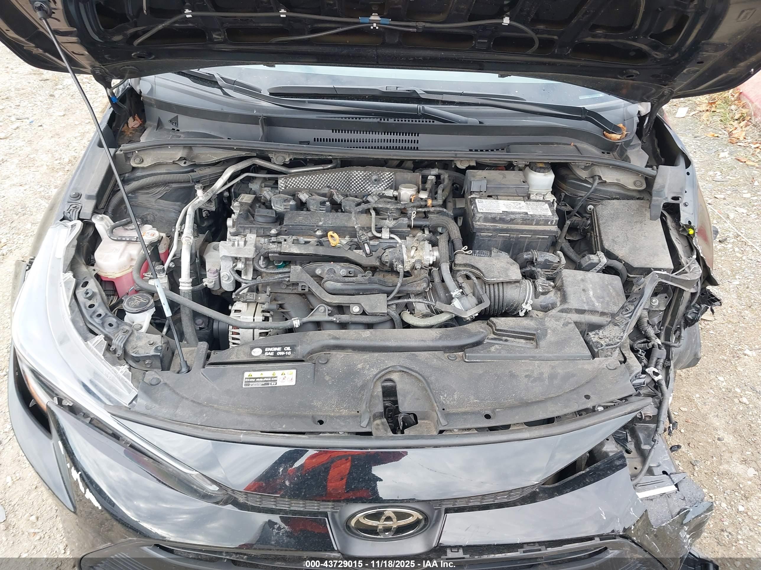 TOYOTA COROLLA image 10