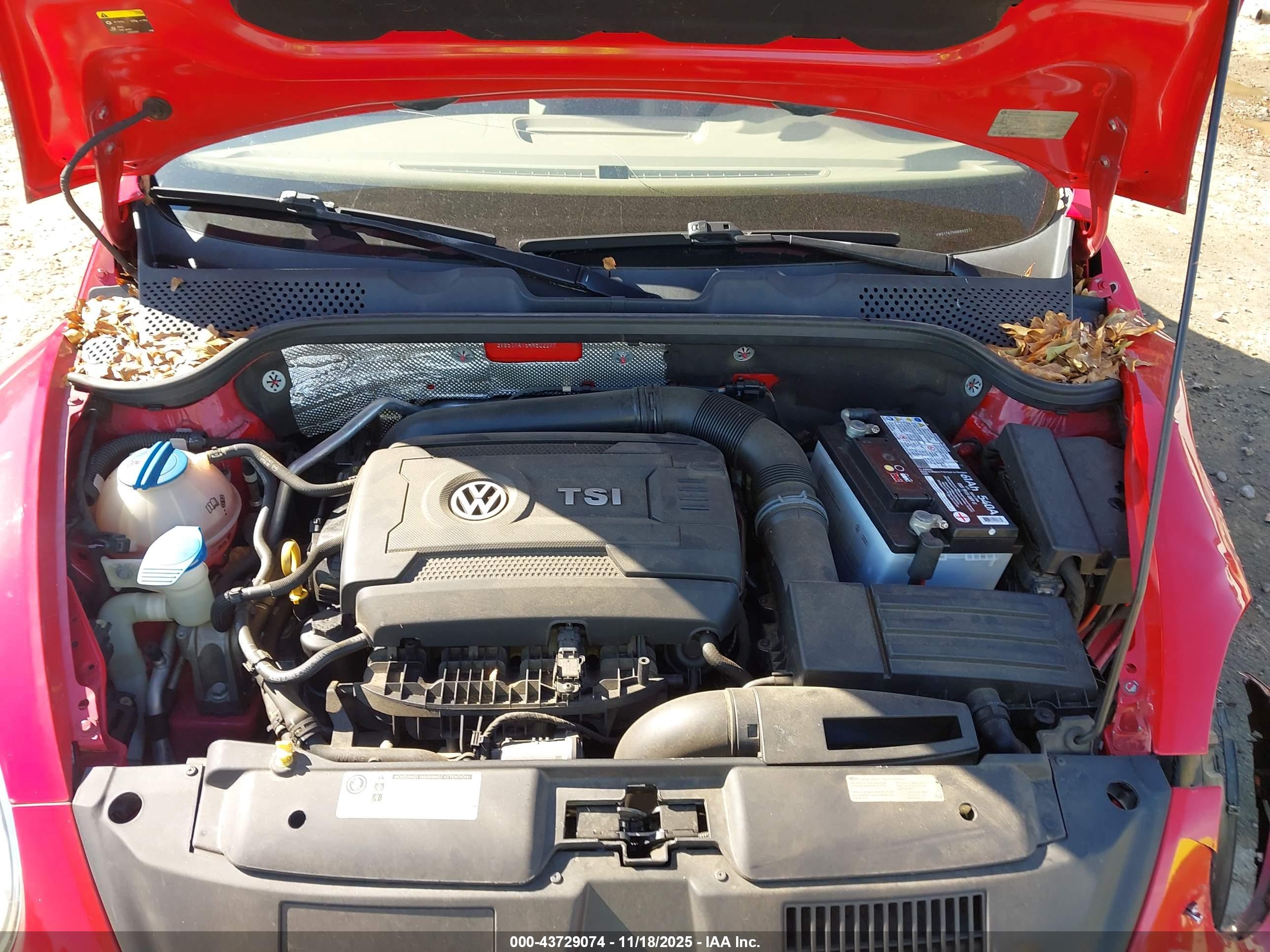 VOLKSWAGEN BEETLE image 10