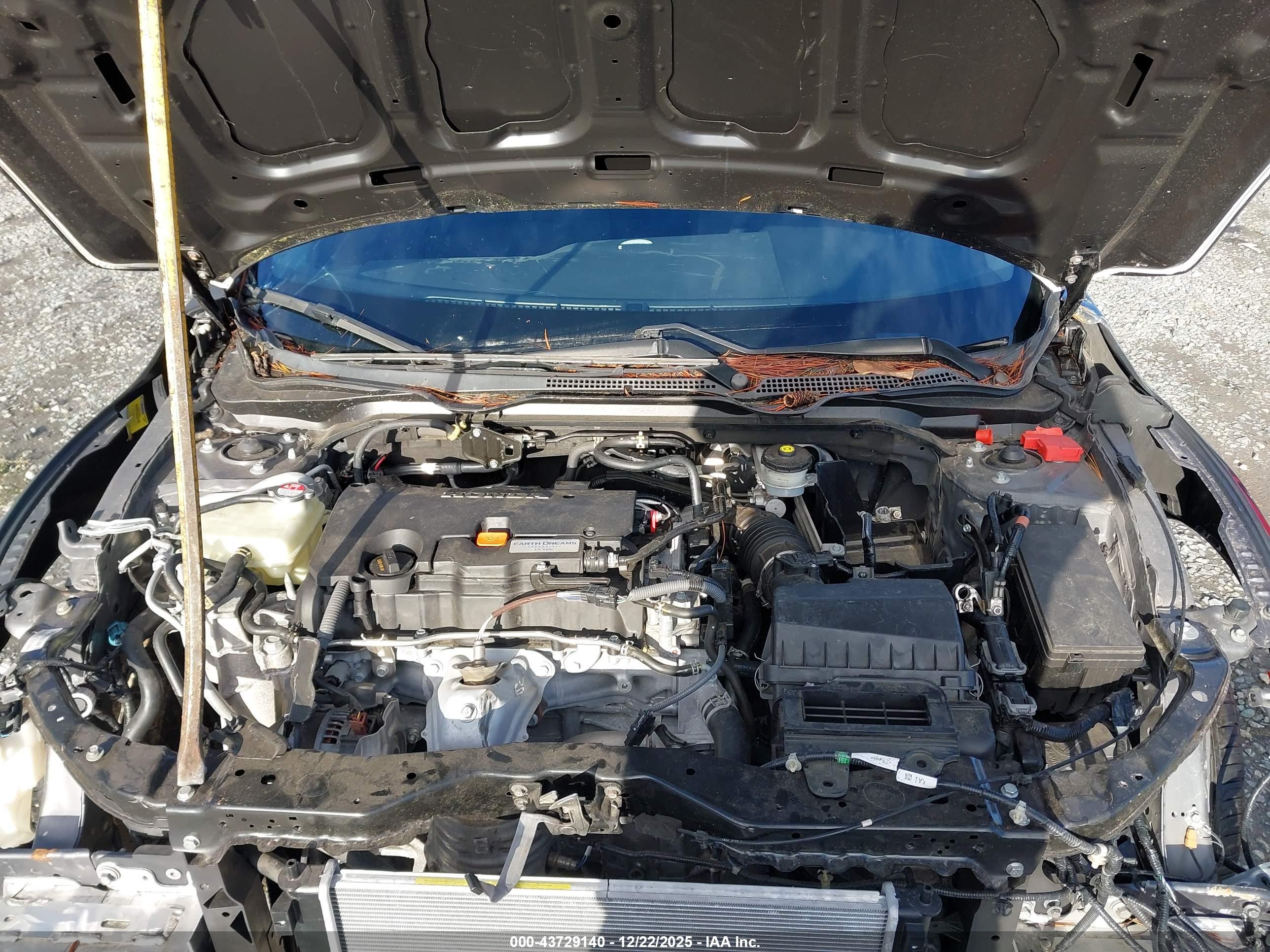 HONDA CIVIC image 10