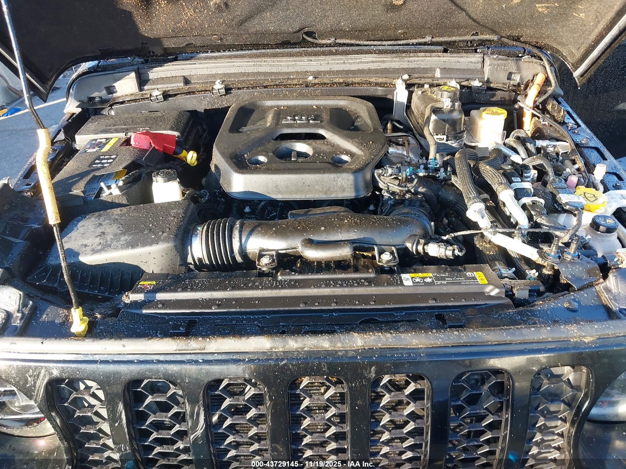 JEEP WRANGLER image 10