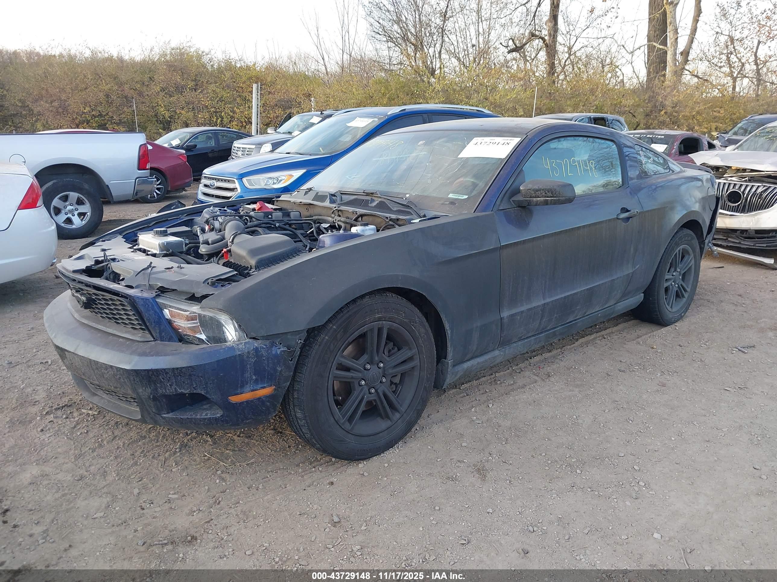 FORD MUSTANG image 2