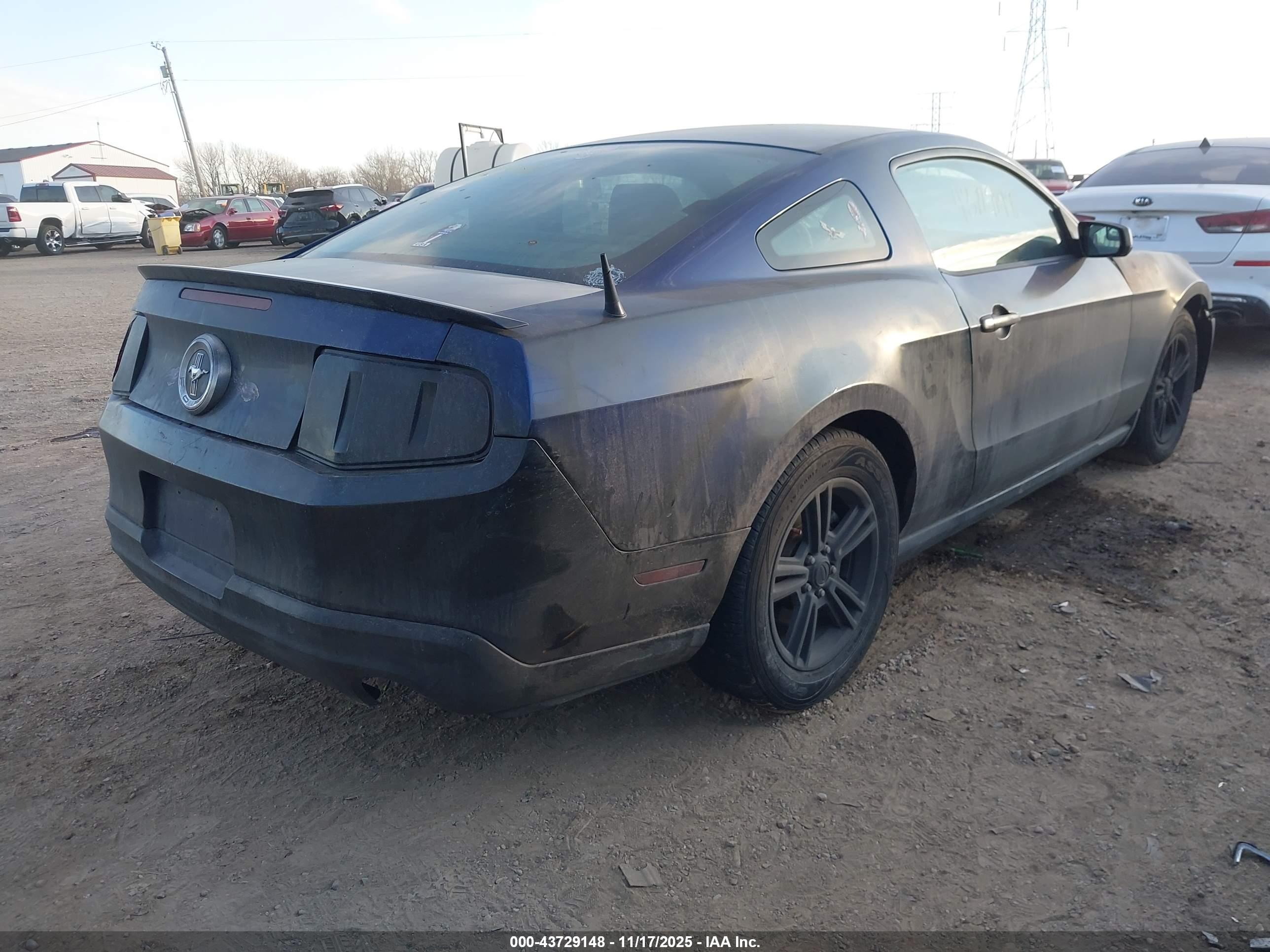 FORD MUSTANG image 4