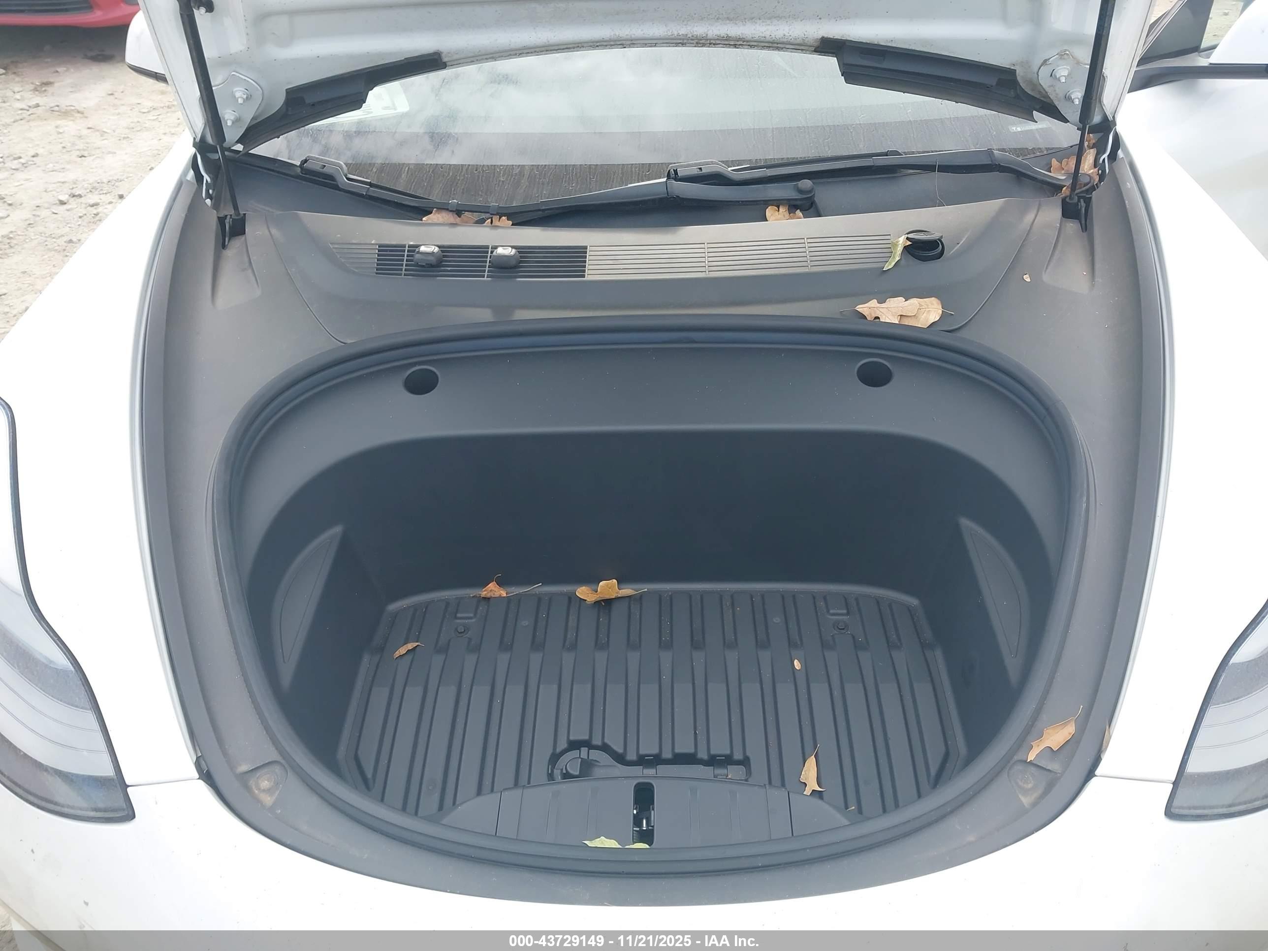 TESLA MODEL image 10