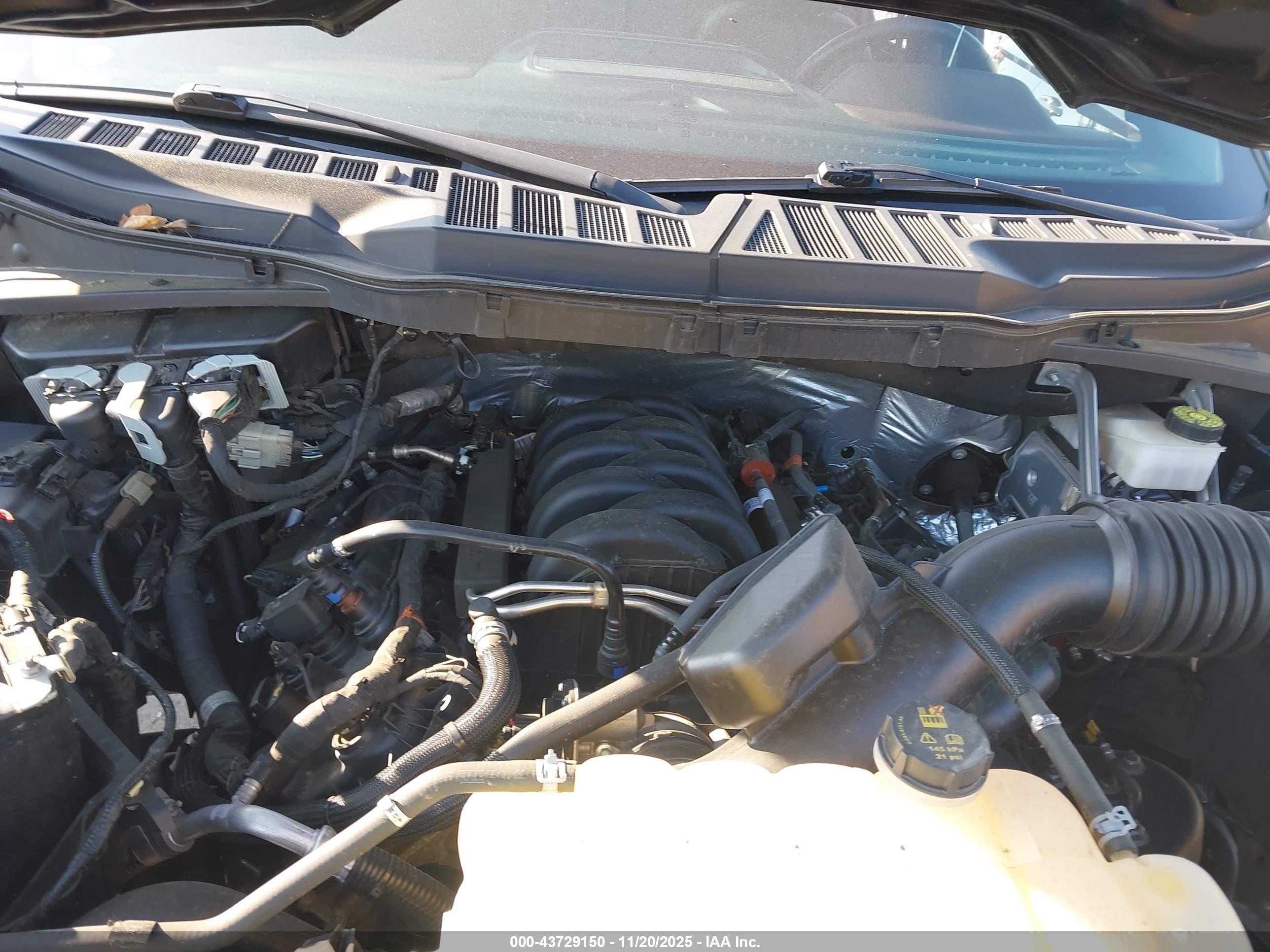 FORD F-150 image 10