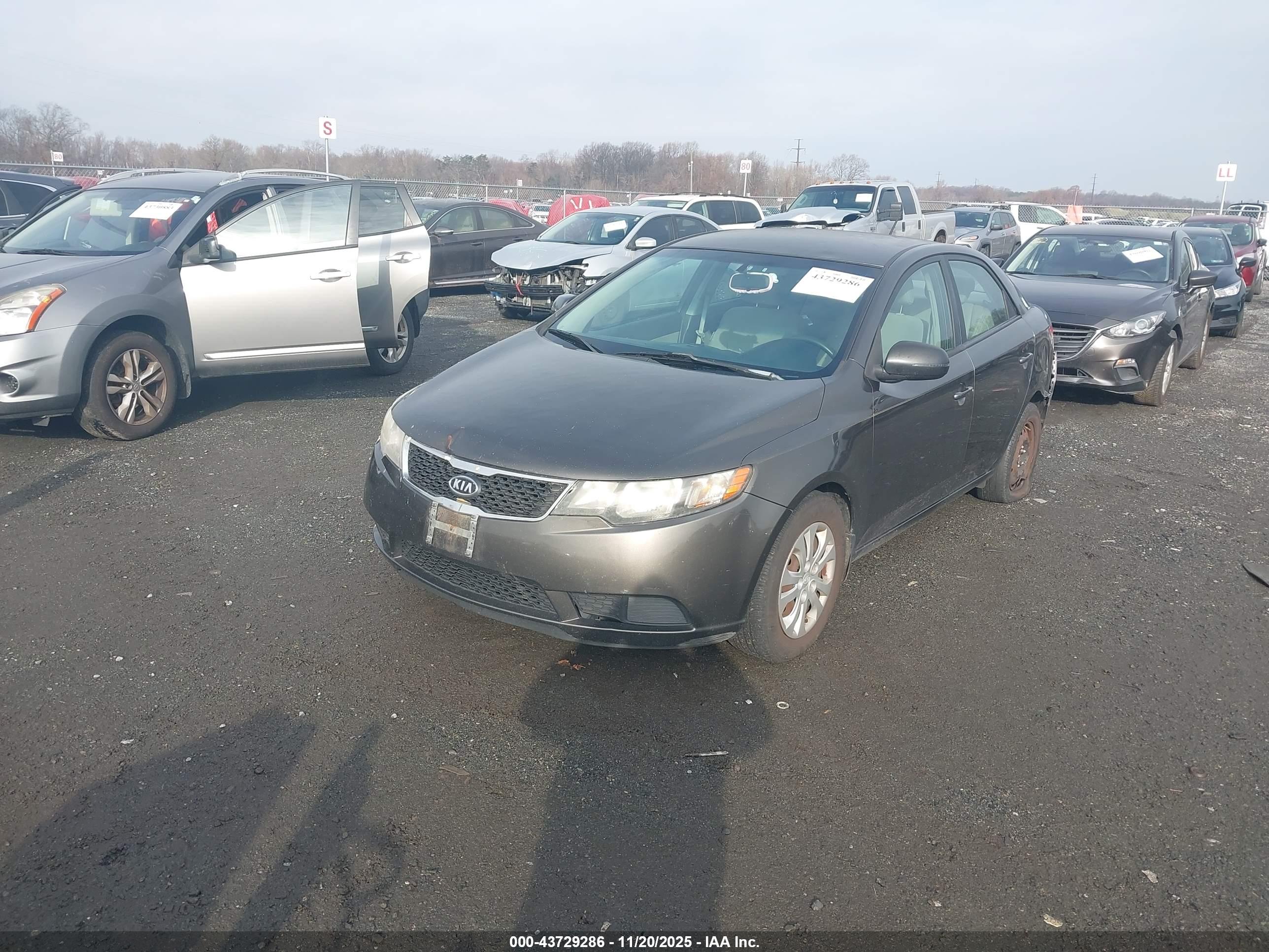 KIA FORTE image 2